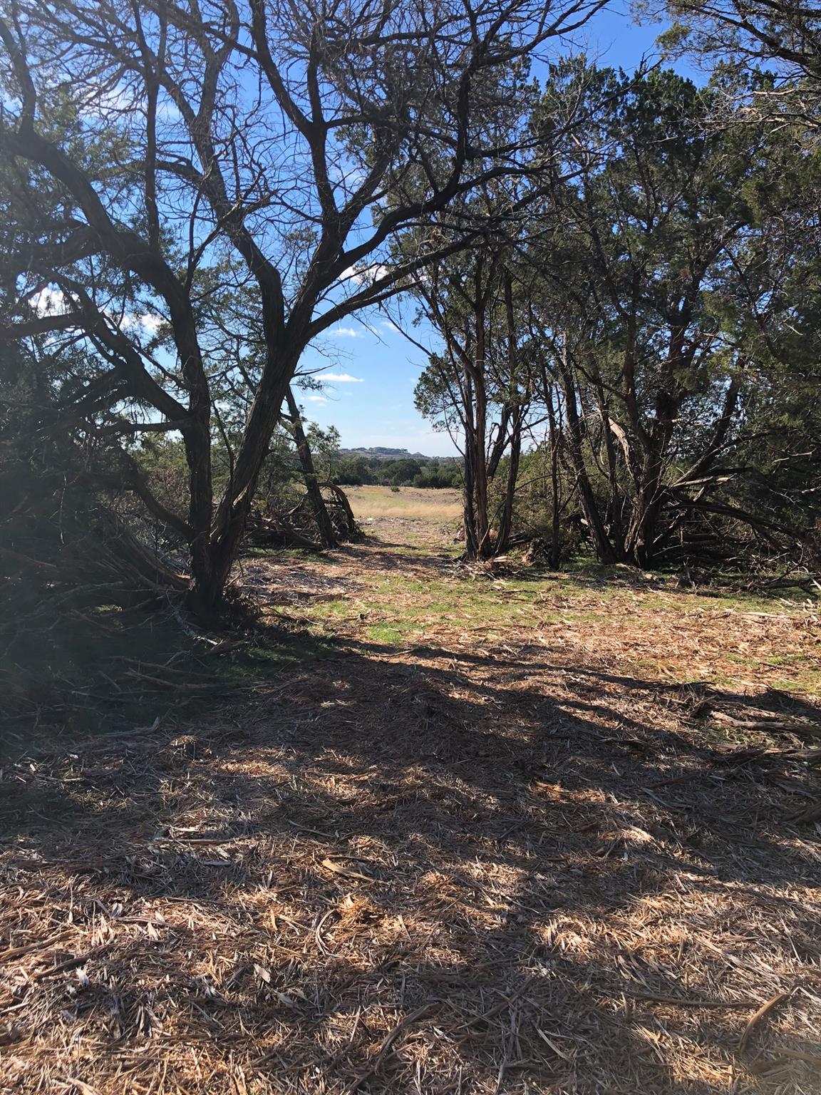 Lot 162 Addax CT — photo 5