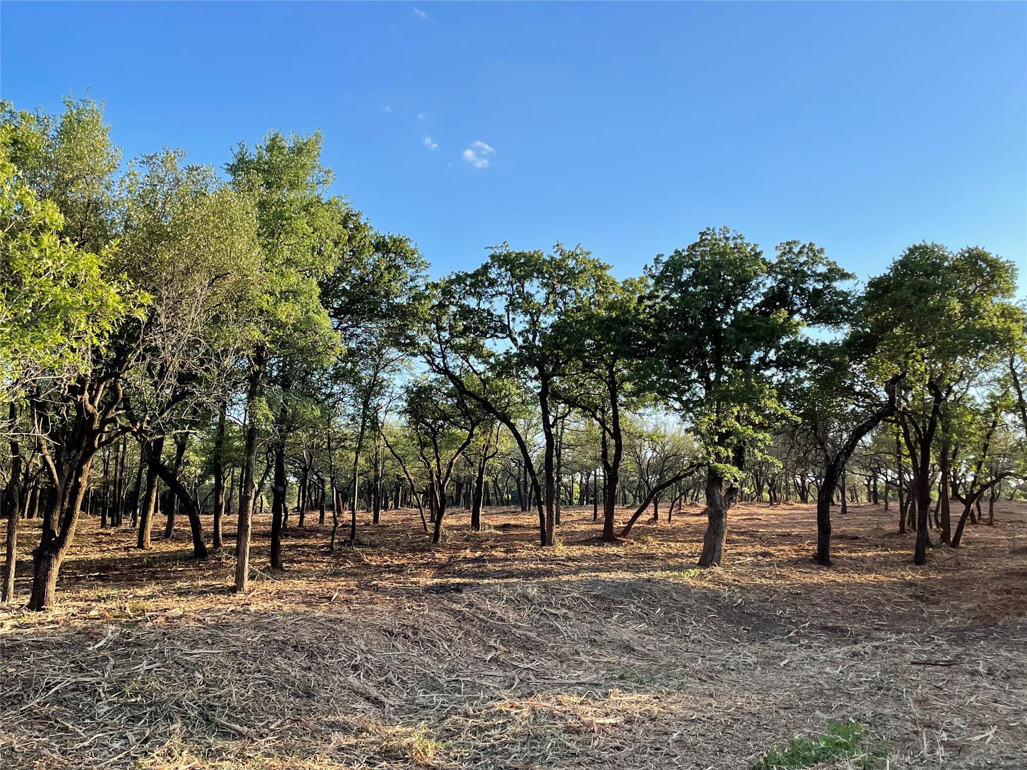 10960 FM 1602 Highway — photo 3