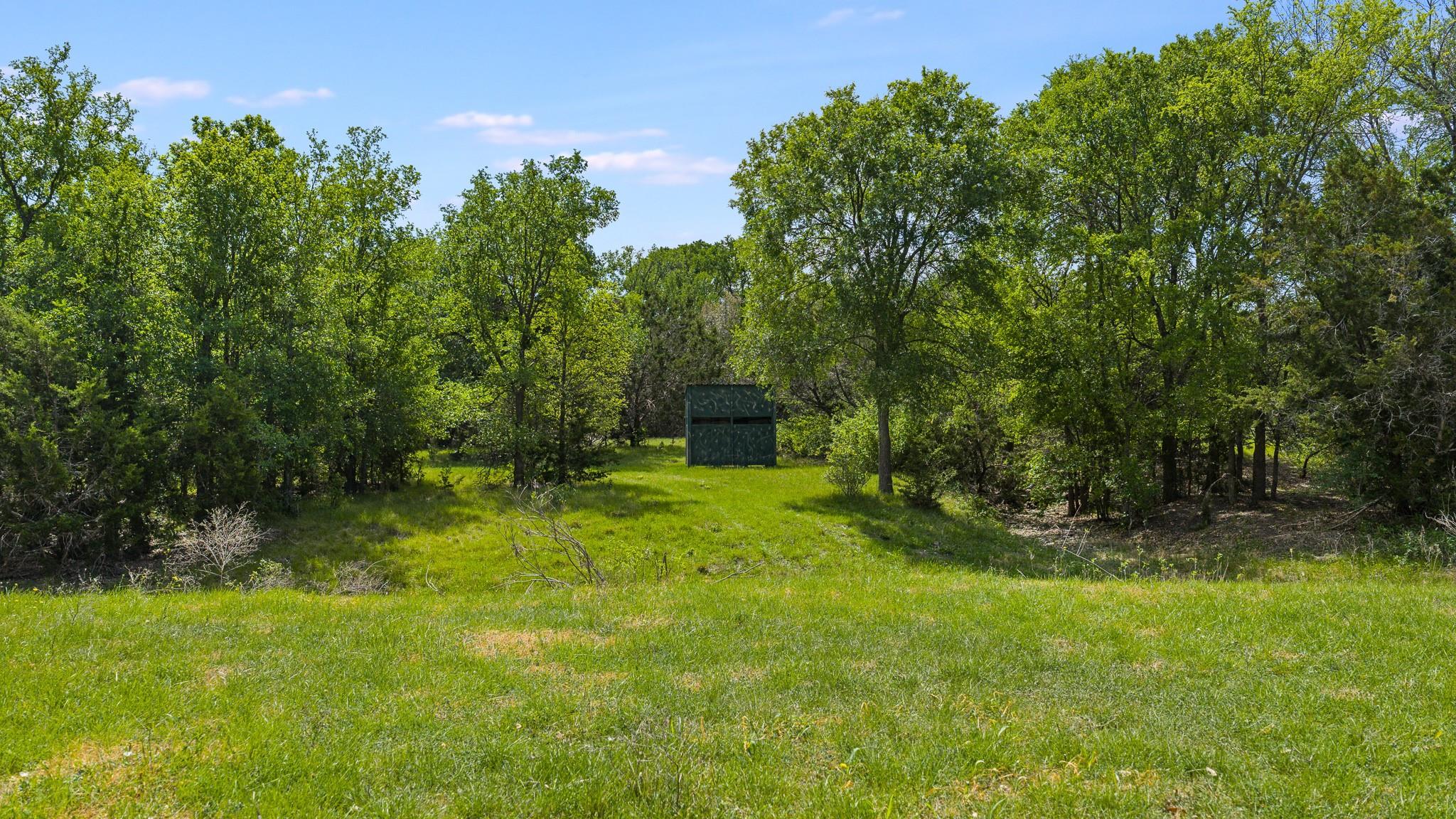 3680 County Road 245 — photo 4