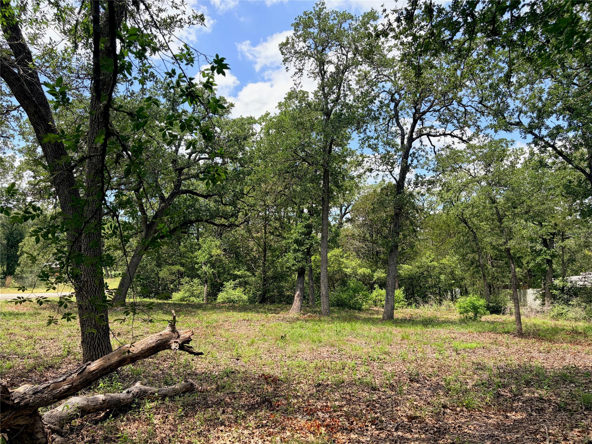 Lots-90/91 Arapaho DR — photo 3