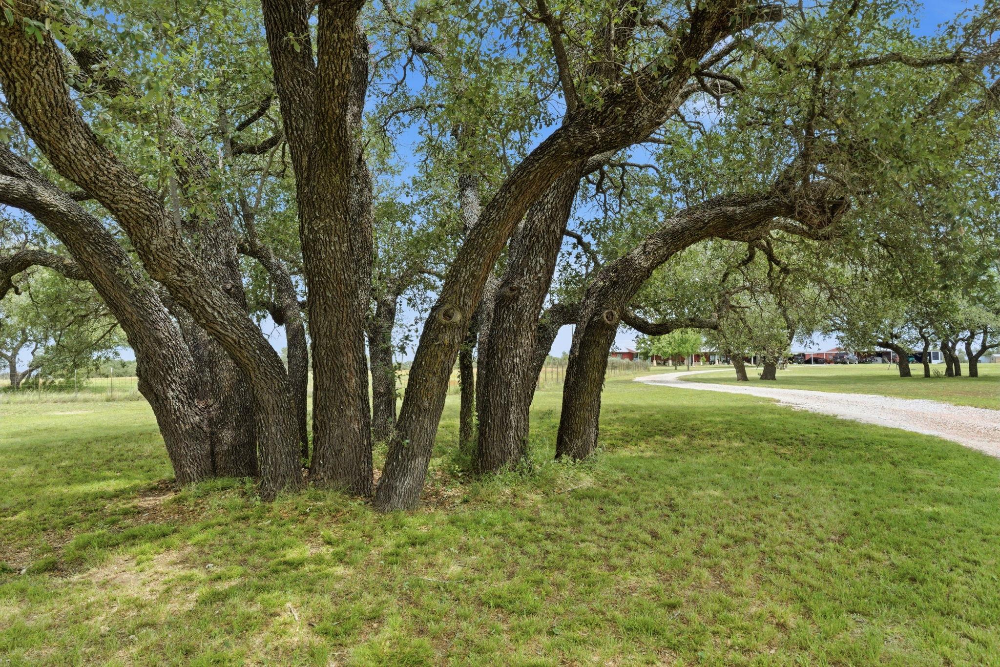 1360 Us Highway 84 Highway — photo 5
