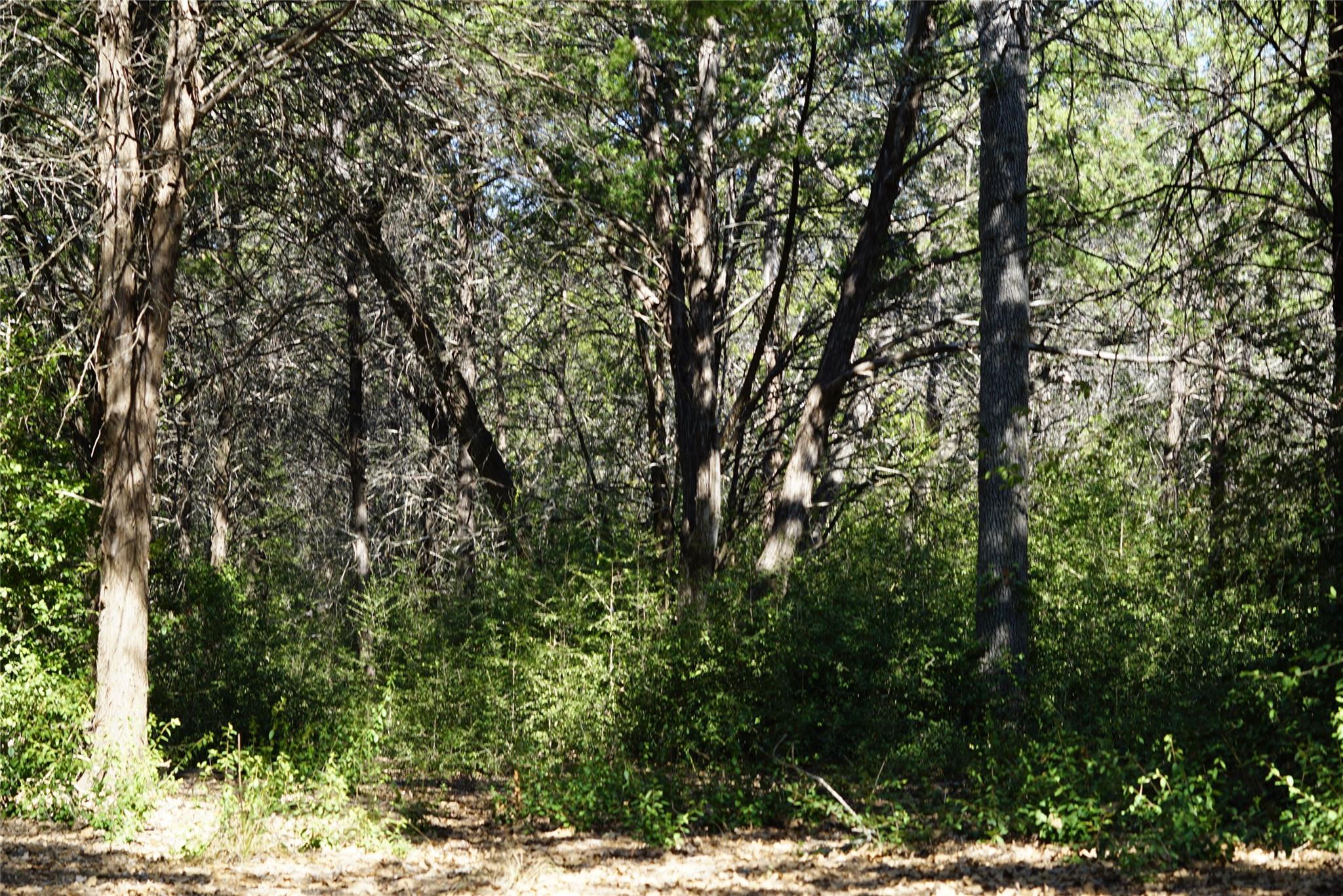 1135 Private Road 7039 — photo 4