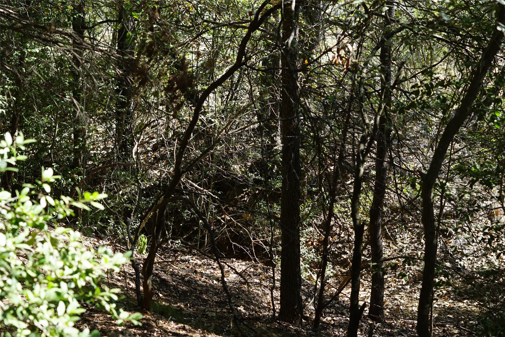 1135 Private Road 7039 — photo 5