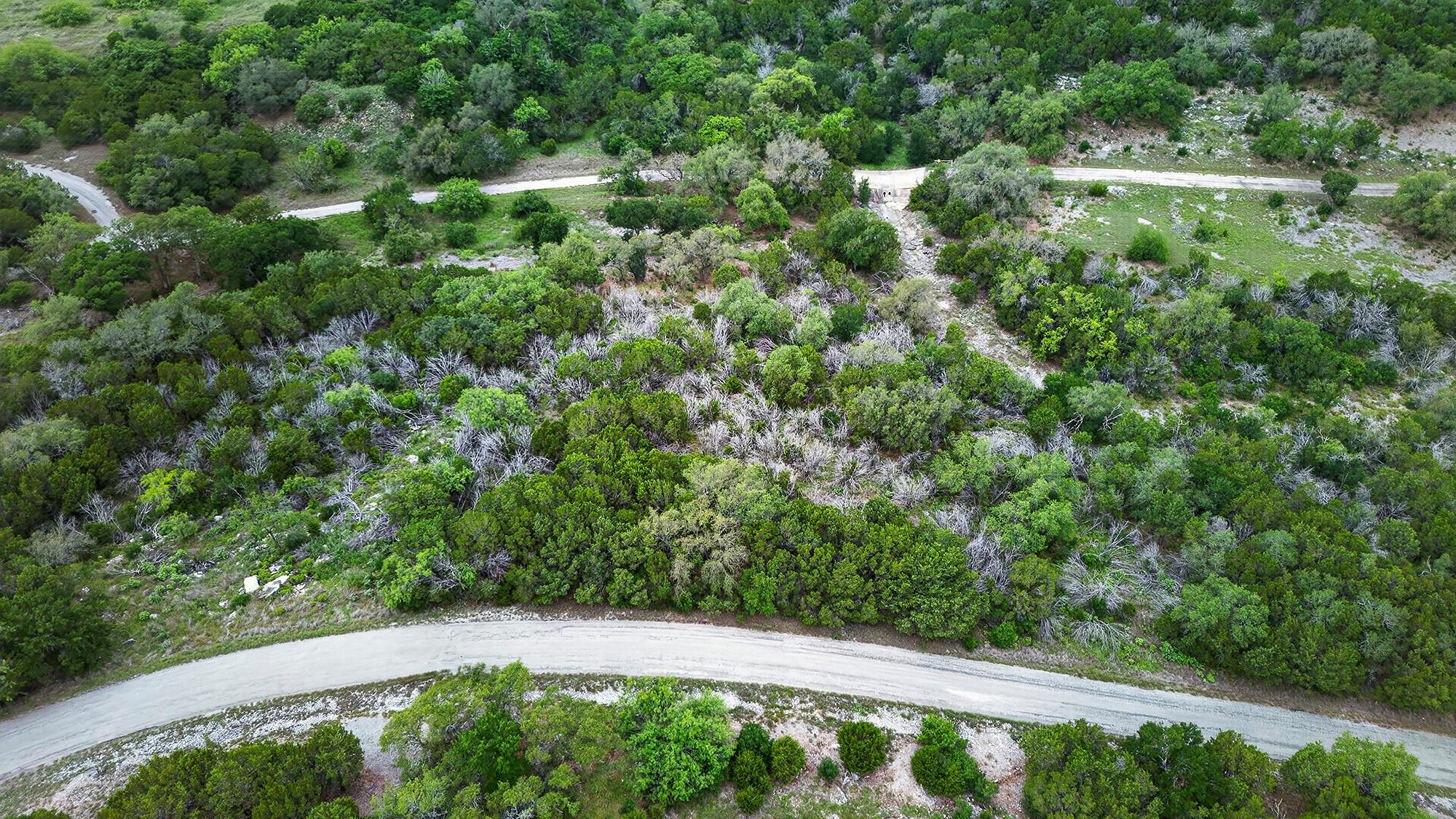 Lot K11050 Mountain Dew ST — photo 3