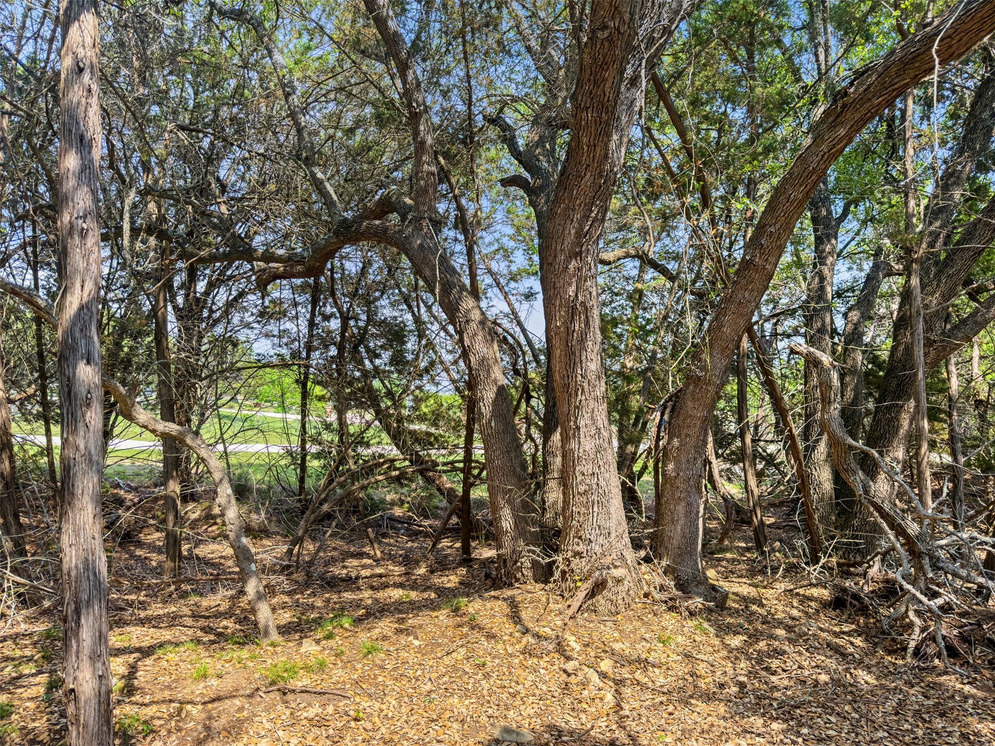 369 Onion Creek LN — photo 4