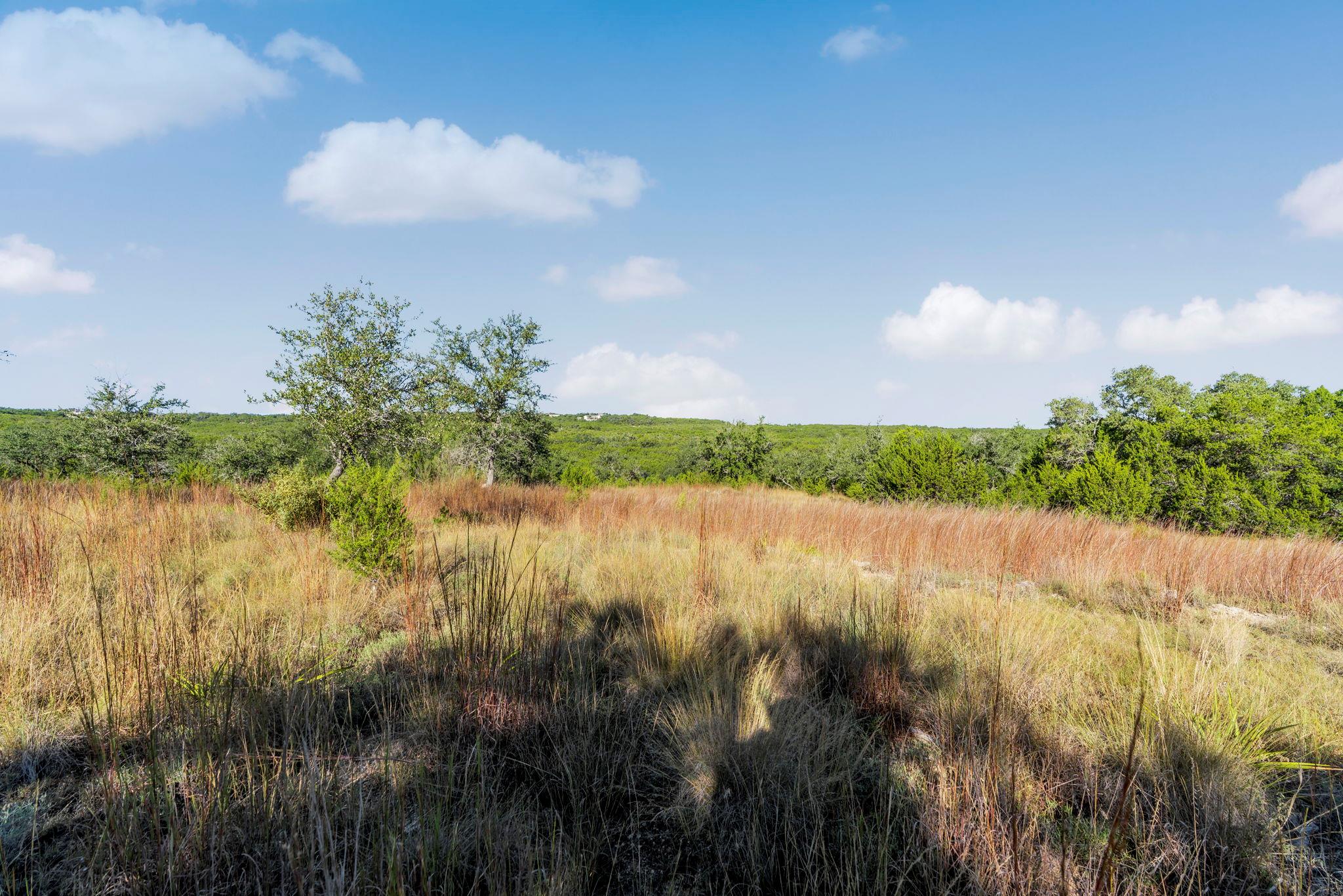 2021 Stagecoach Ranch RD — photo 4