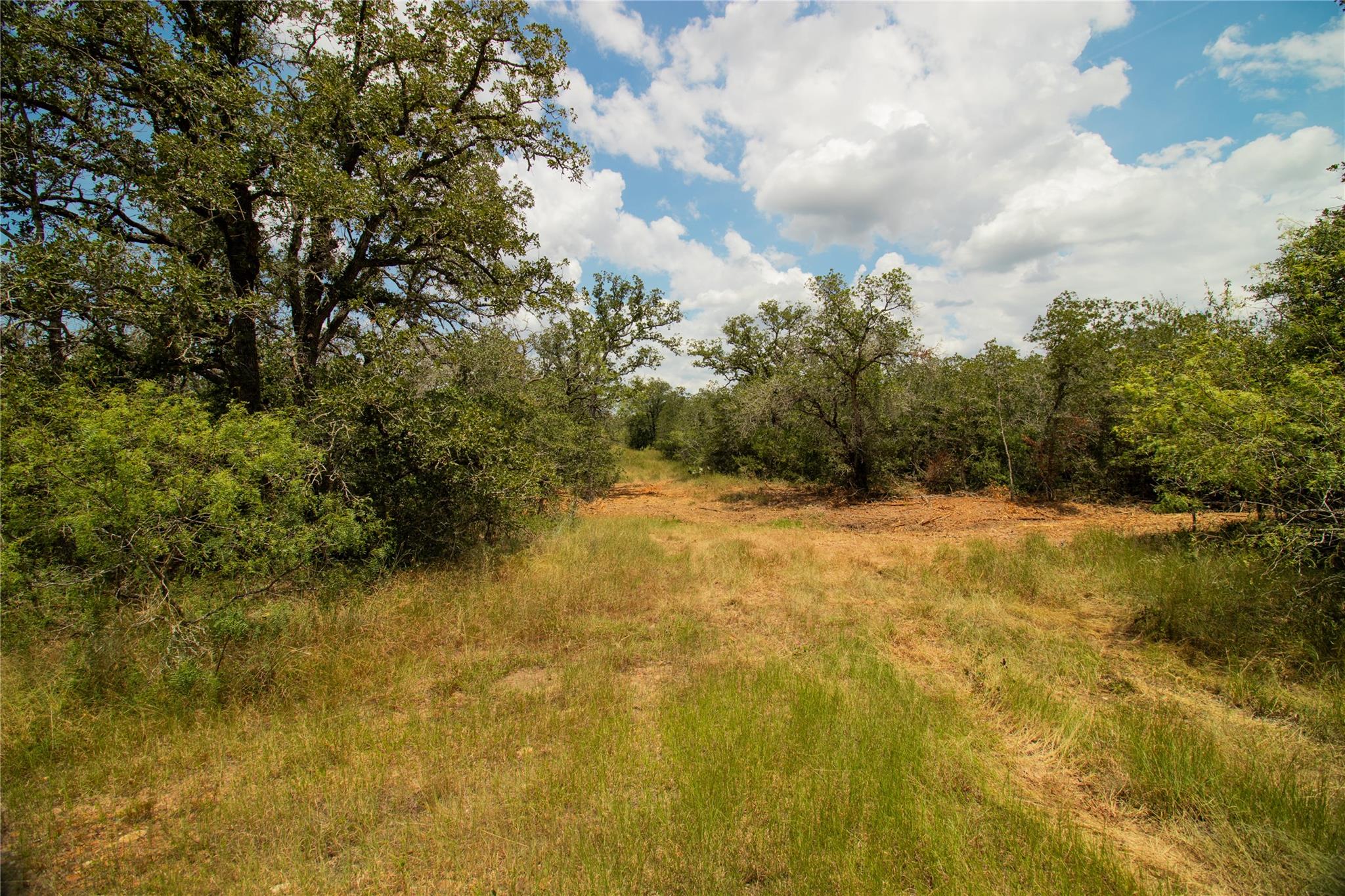 9057 Sycamore Shade LN — photo 3