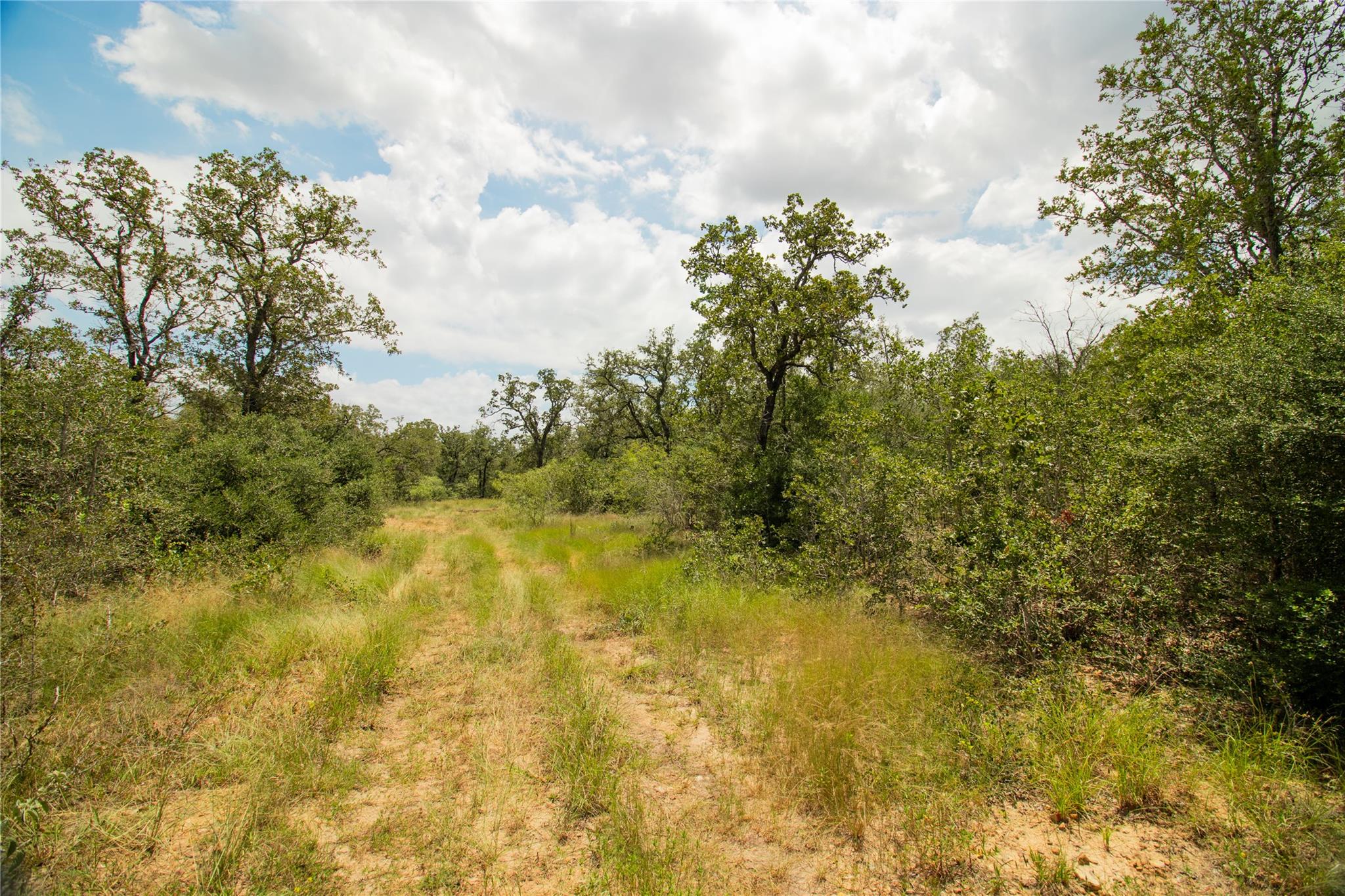 9057 Sycamore Shade LN — photo 4