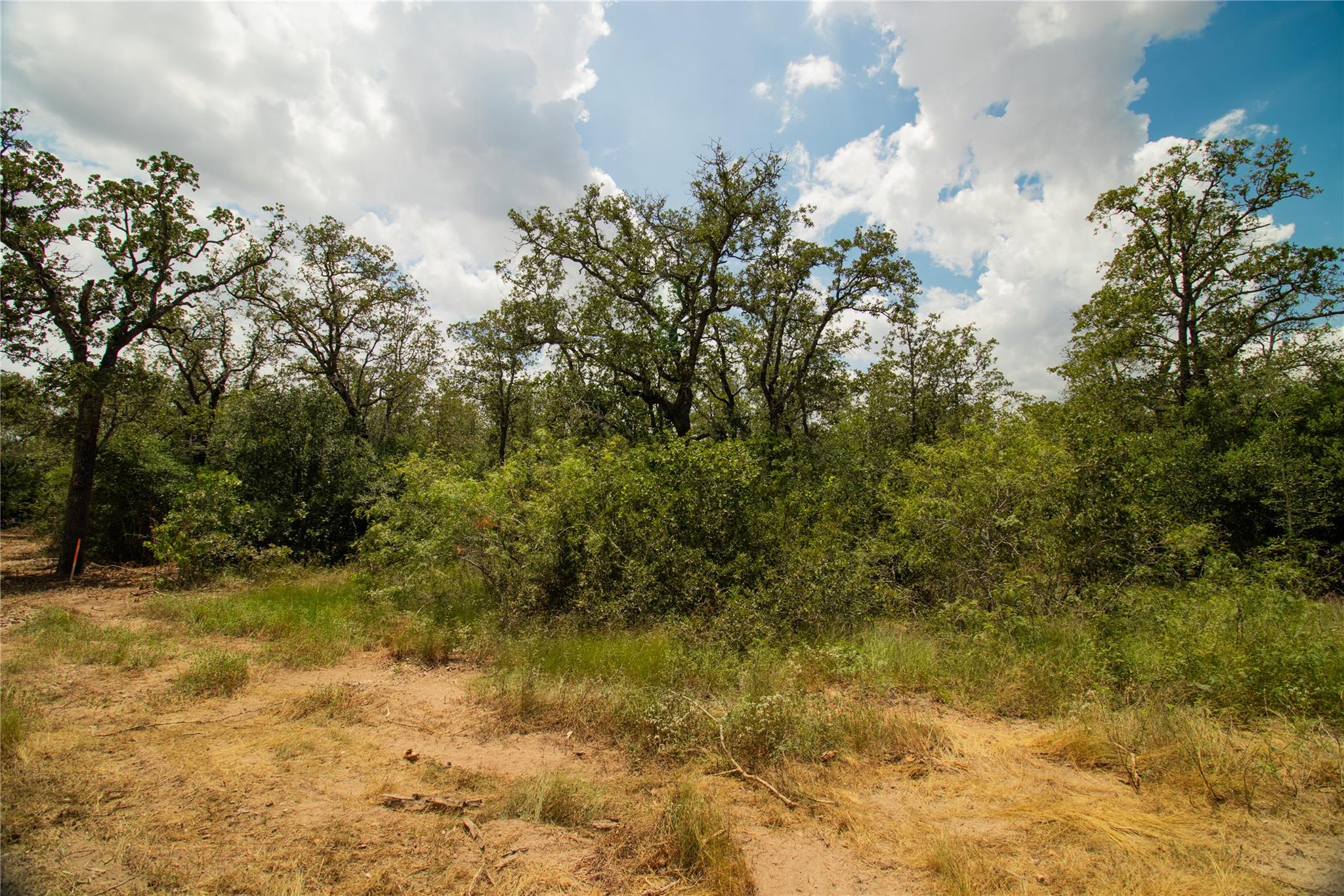 9057 Sycamore Shade LN — photo 5