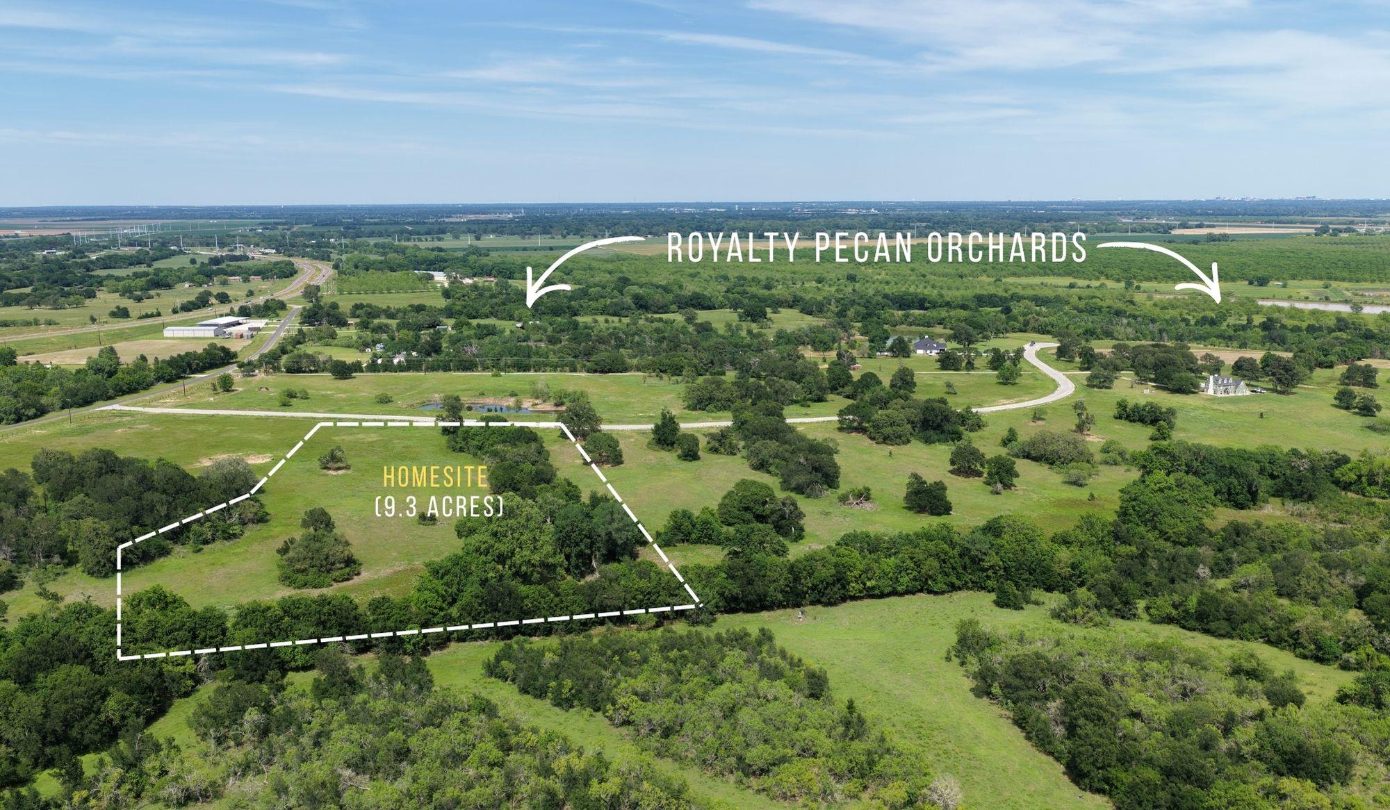 TBD Brazos Court (9.3 Acres) — photo 3