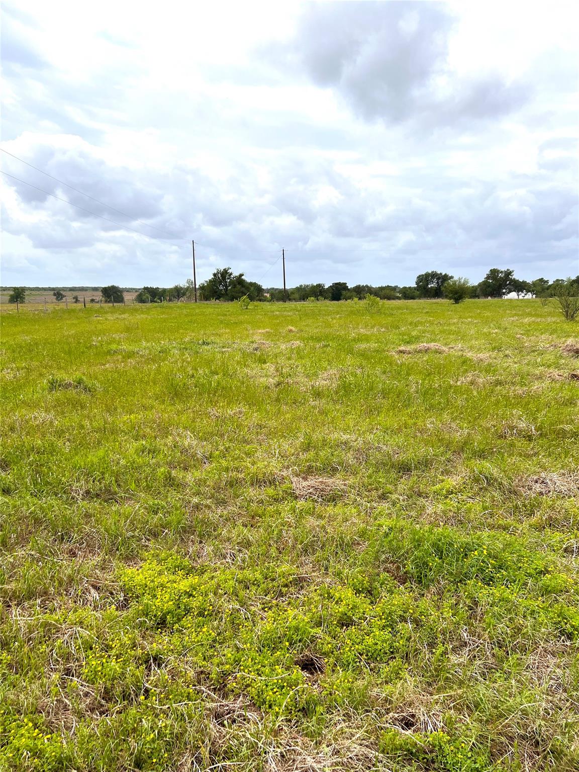 TBD Lot 2 FM 112 RDS — photo 3