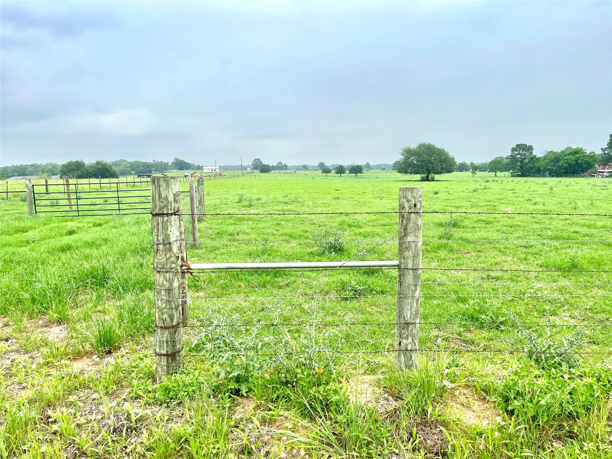 5.556 acres Farris Lane LN — photo 5