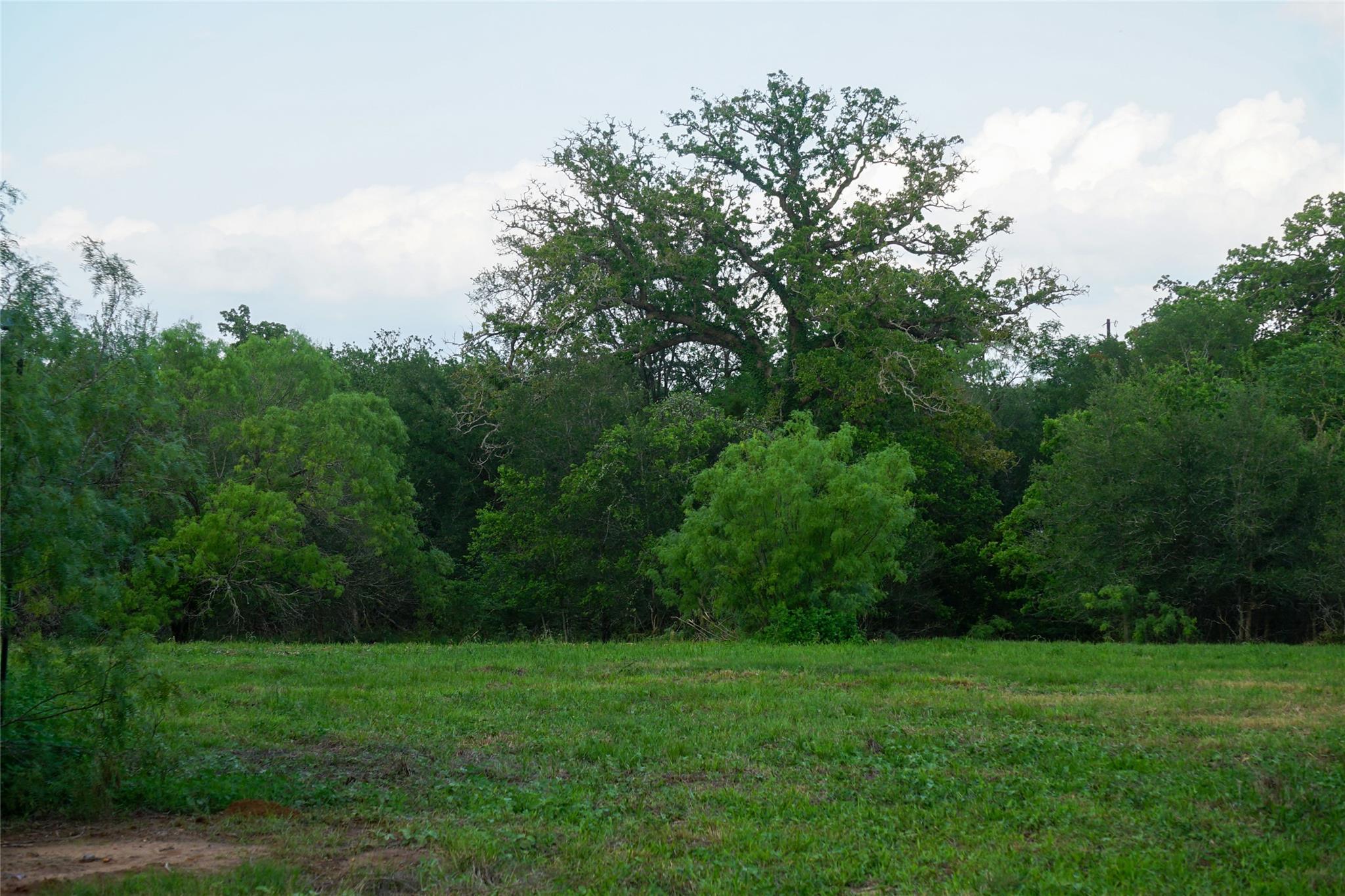 00 McDonald Lane — photo 4