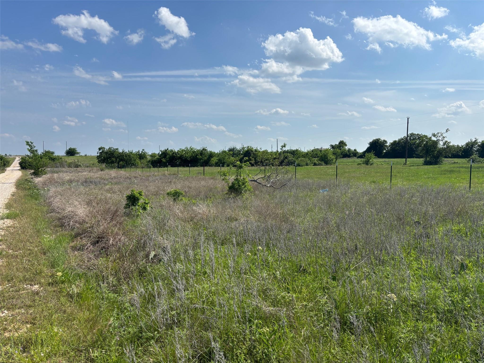 Lot 16 Titus LN — photo 5