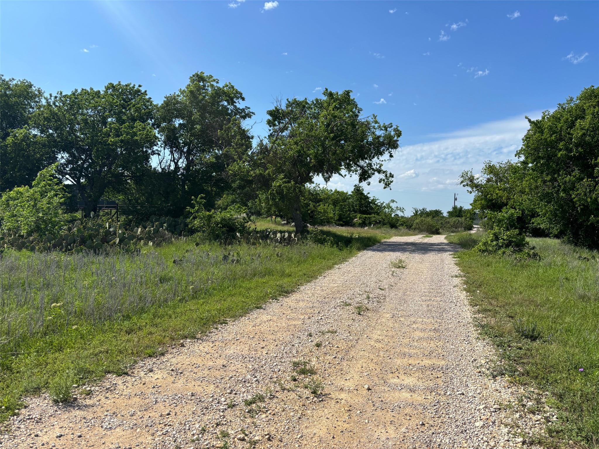 Lot 16 Titus LN — photo 3