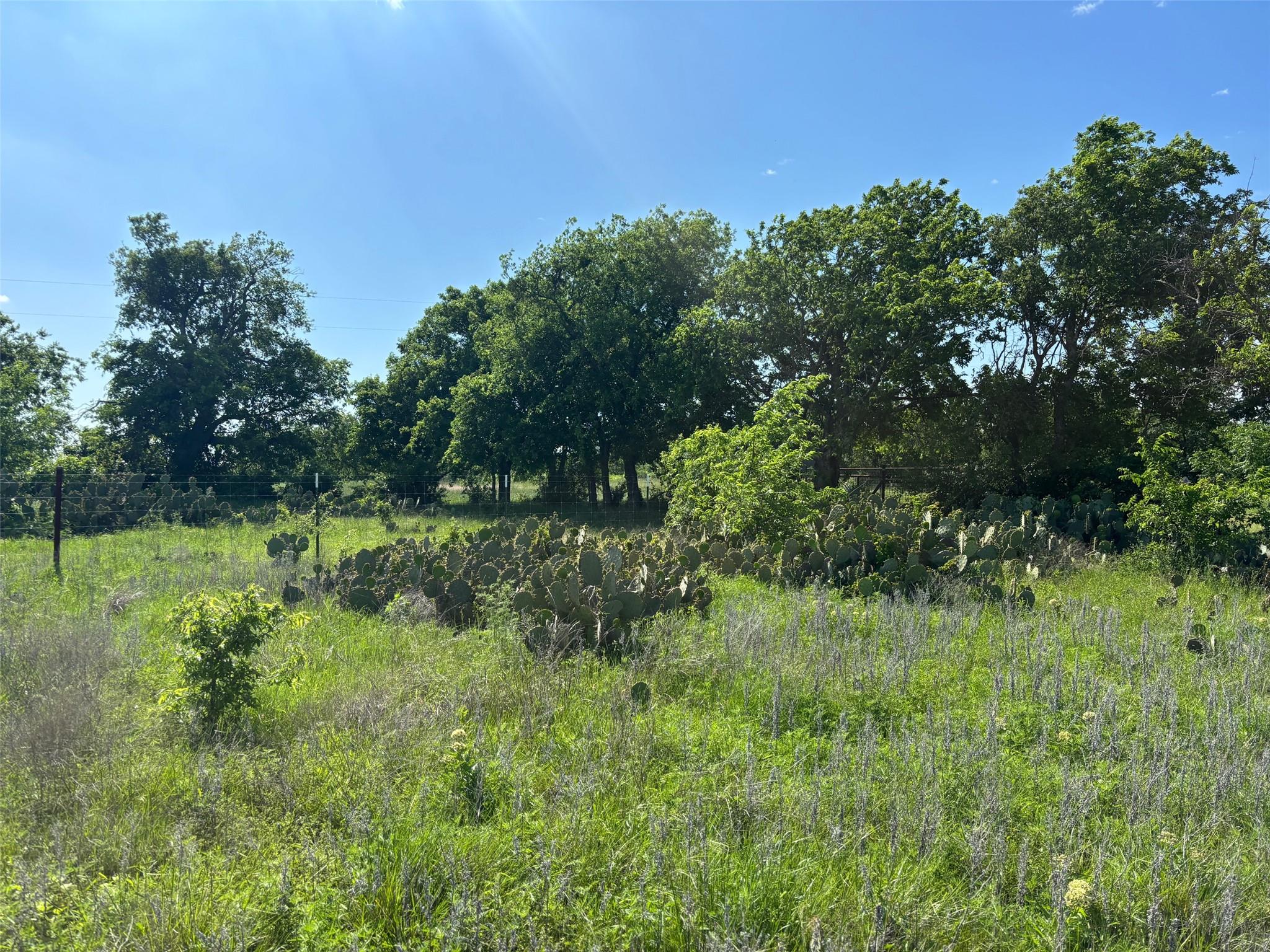 Lot 16 Titus LN — photo 4