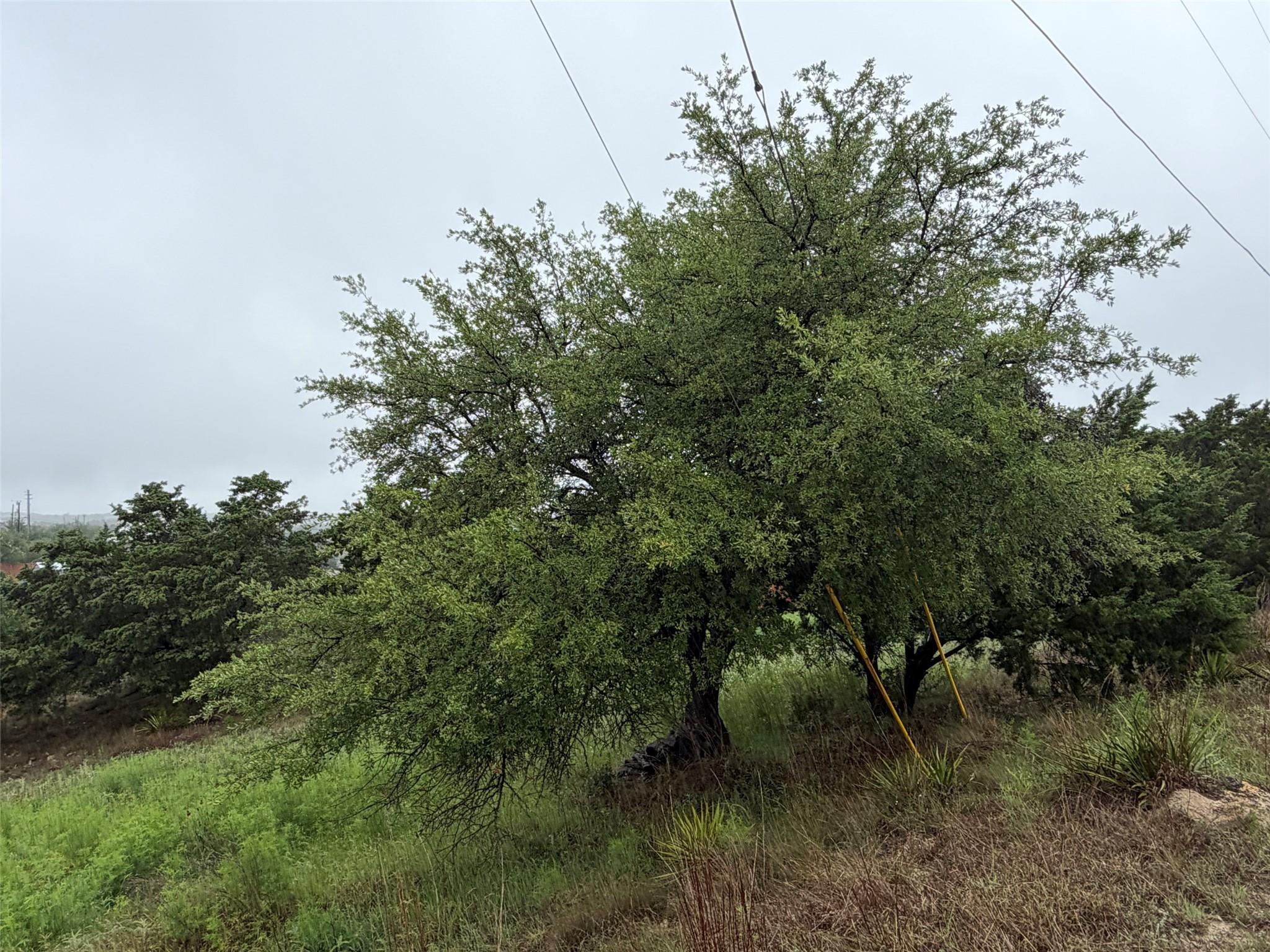 17408 Lake Wood CIR