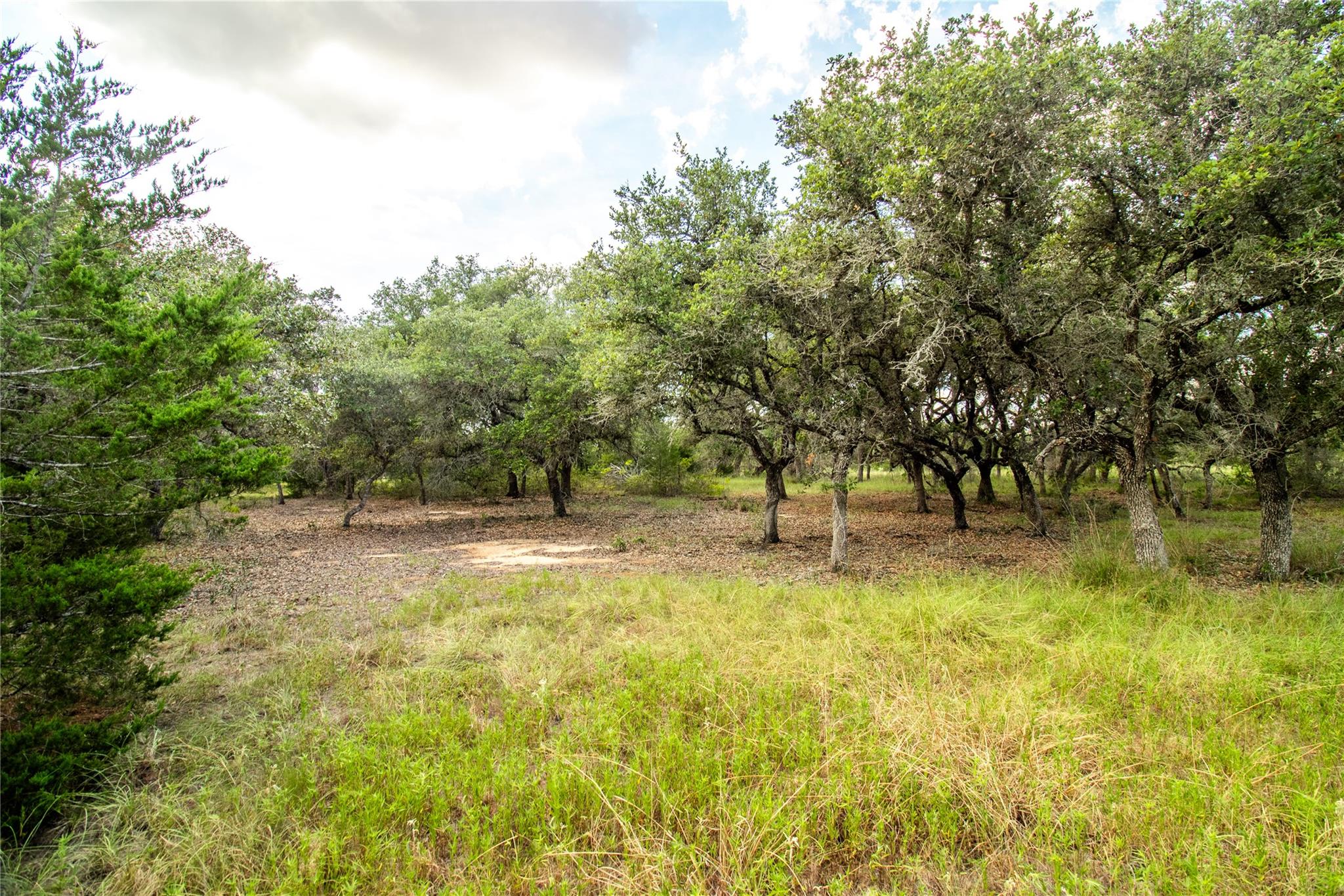 002 County Road 15