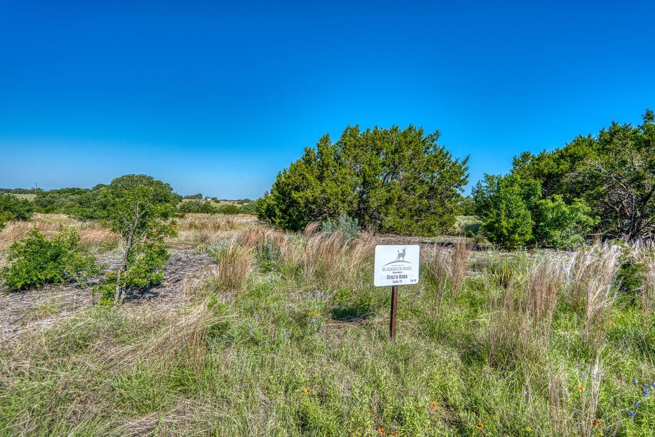 Lot 16 Sable PASS — photo 4