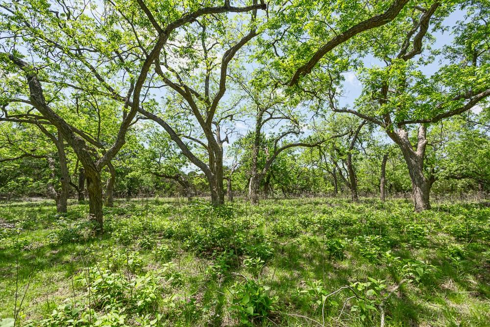 127 El Nopal DR — photo 5
