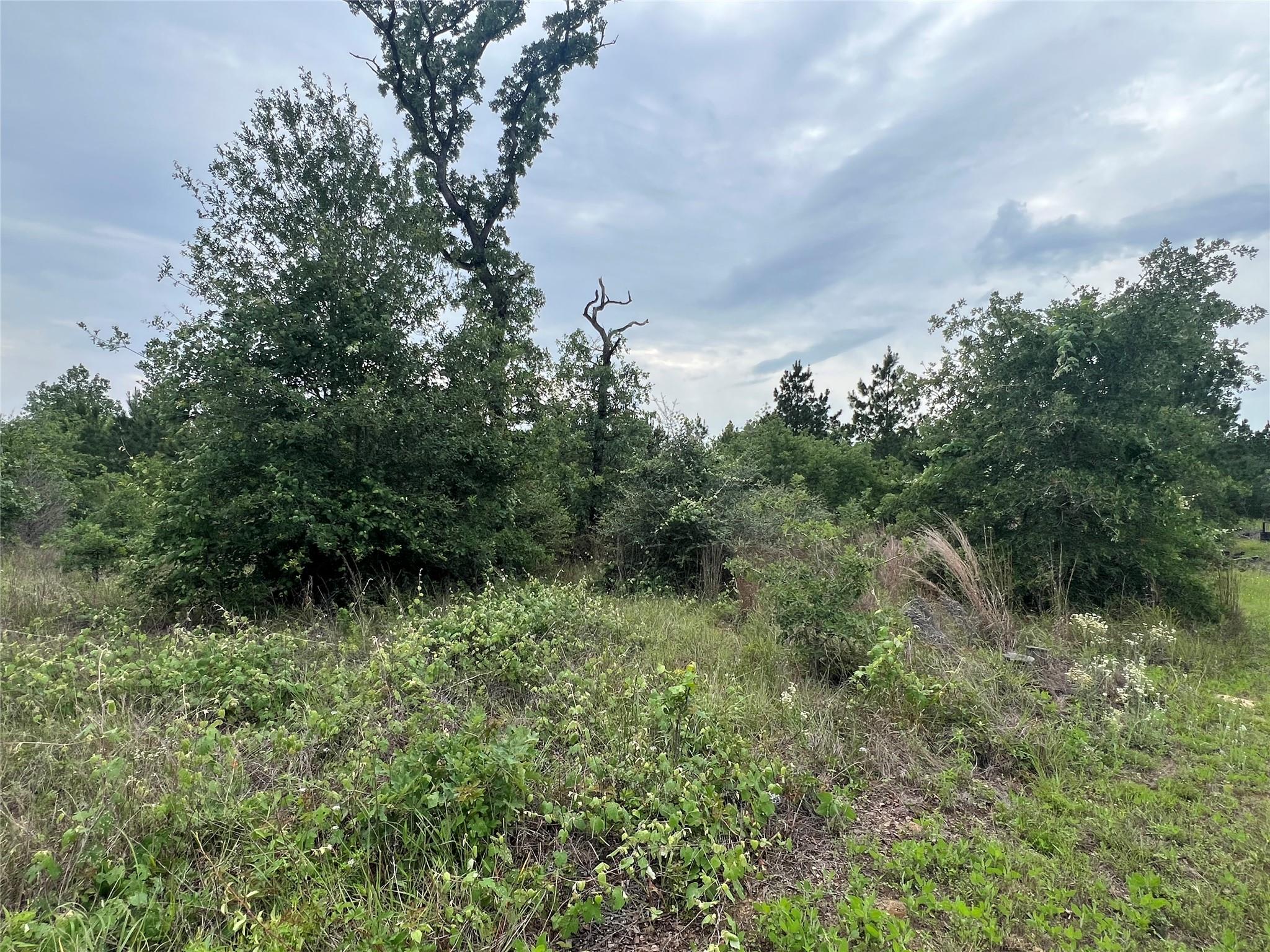 TBD Blue Jay RD — photo 4