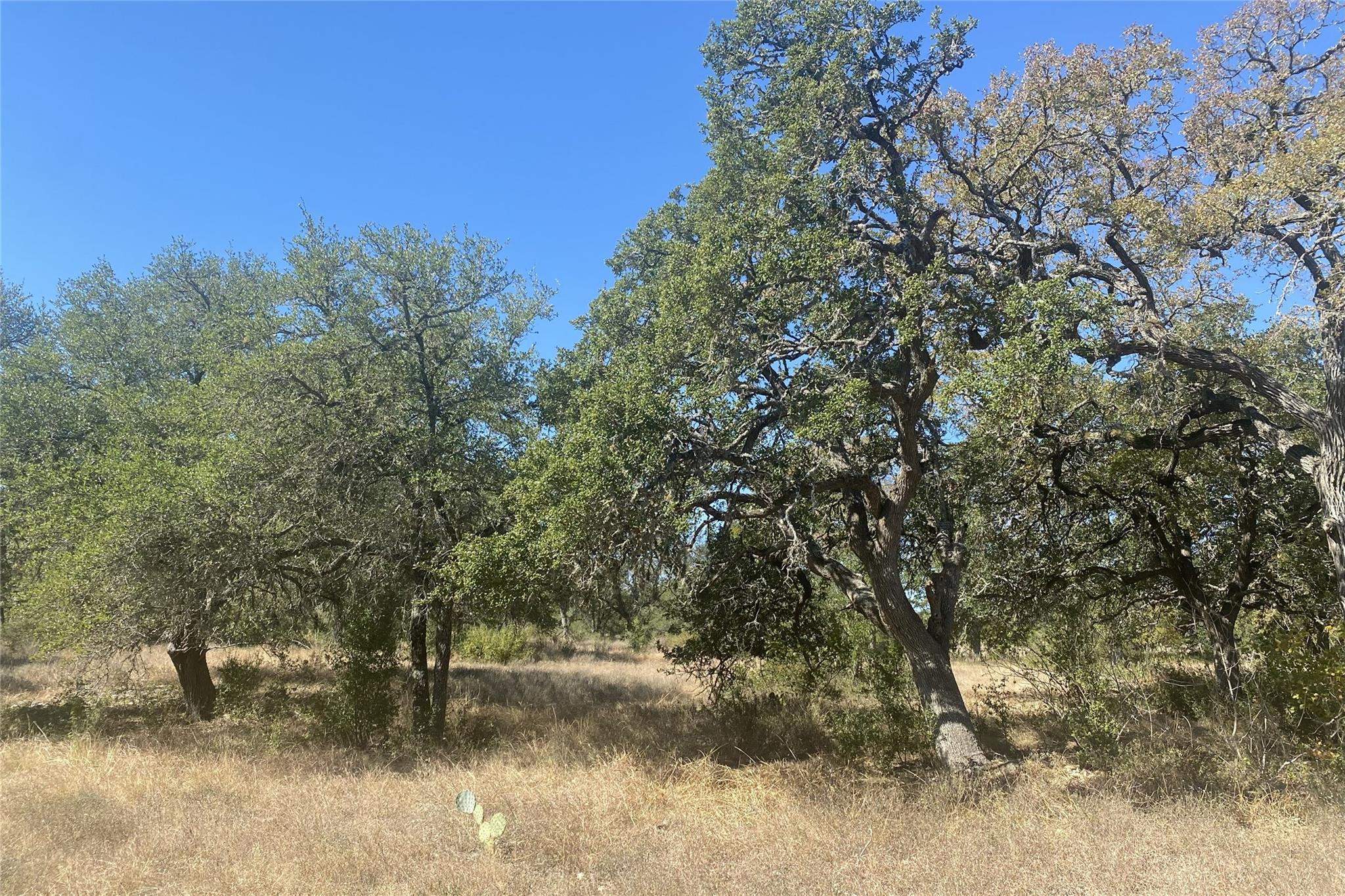 00 Spoke Hollow RD — photo 3