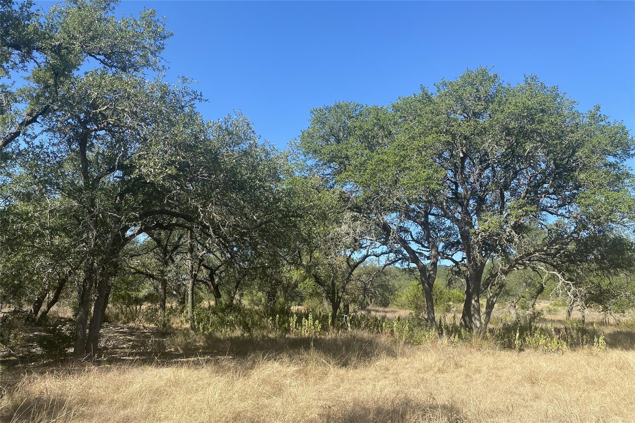 00 Spoke Hollow RD — photo 4