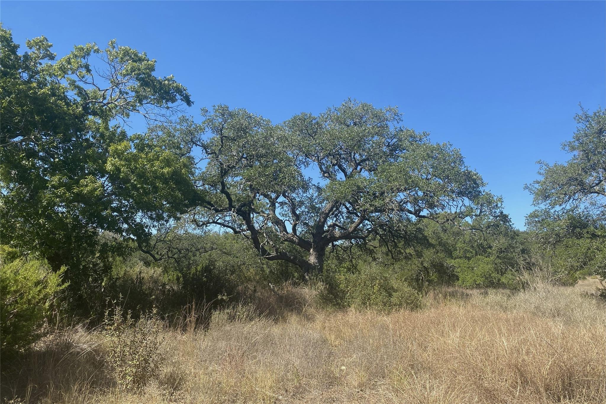 00 Spoke Hollow RD — photo 5