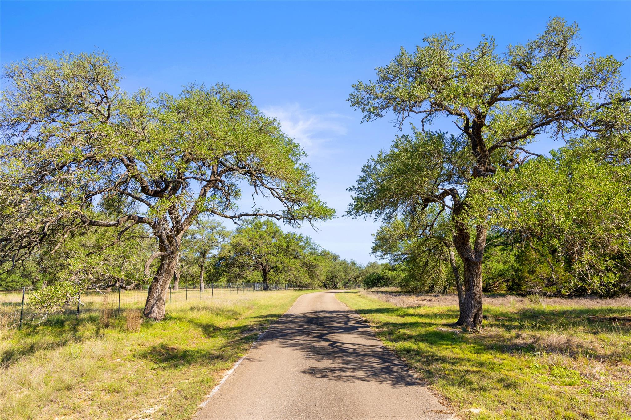 6590 US 290 — photo 3