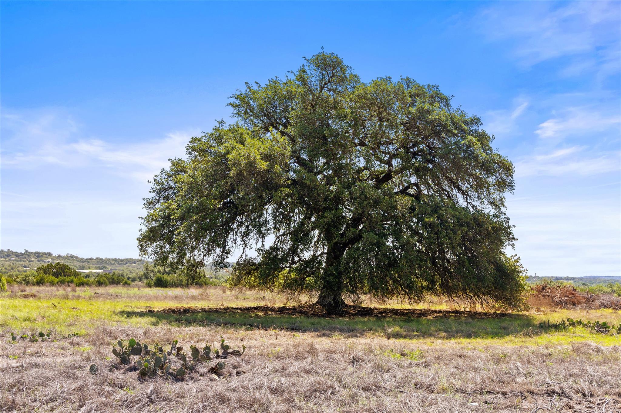 6590 US 290 — photo 5