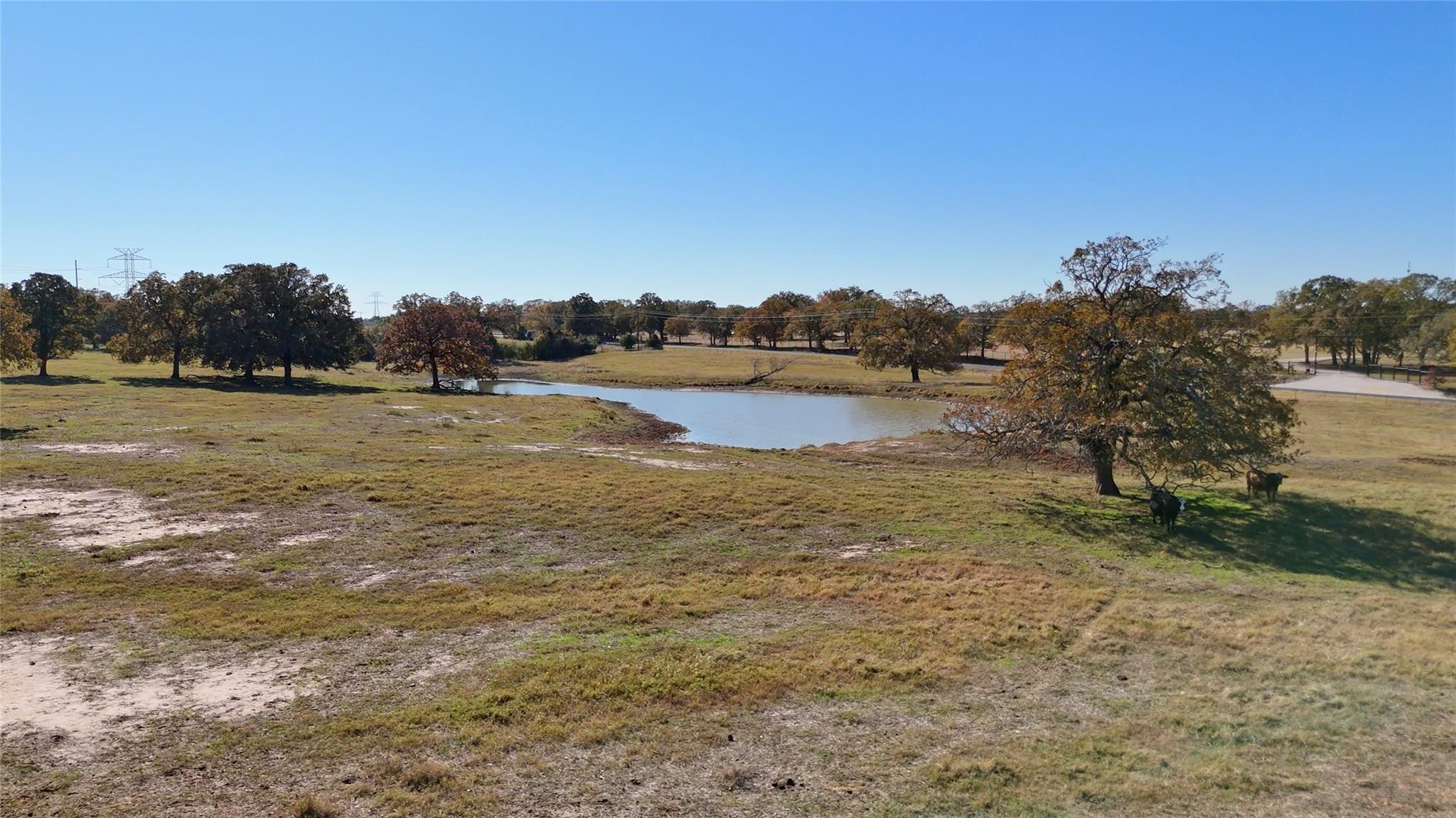 TBD CR 481 Tract 2 — photo 5