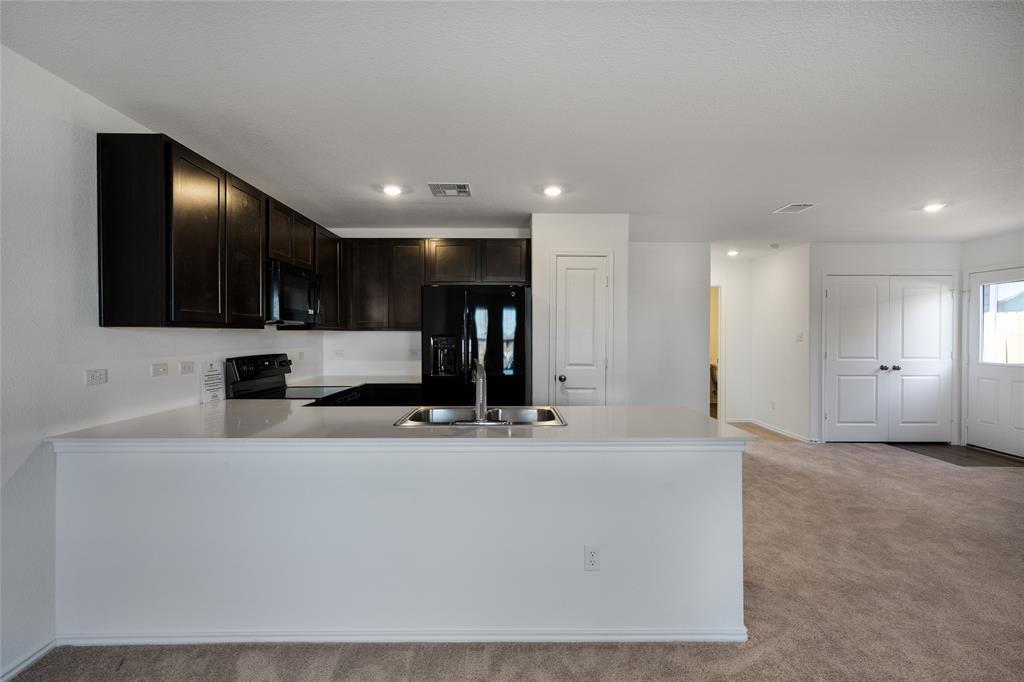 1131 Largemouth LN — photo 3