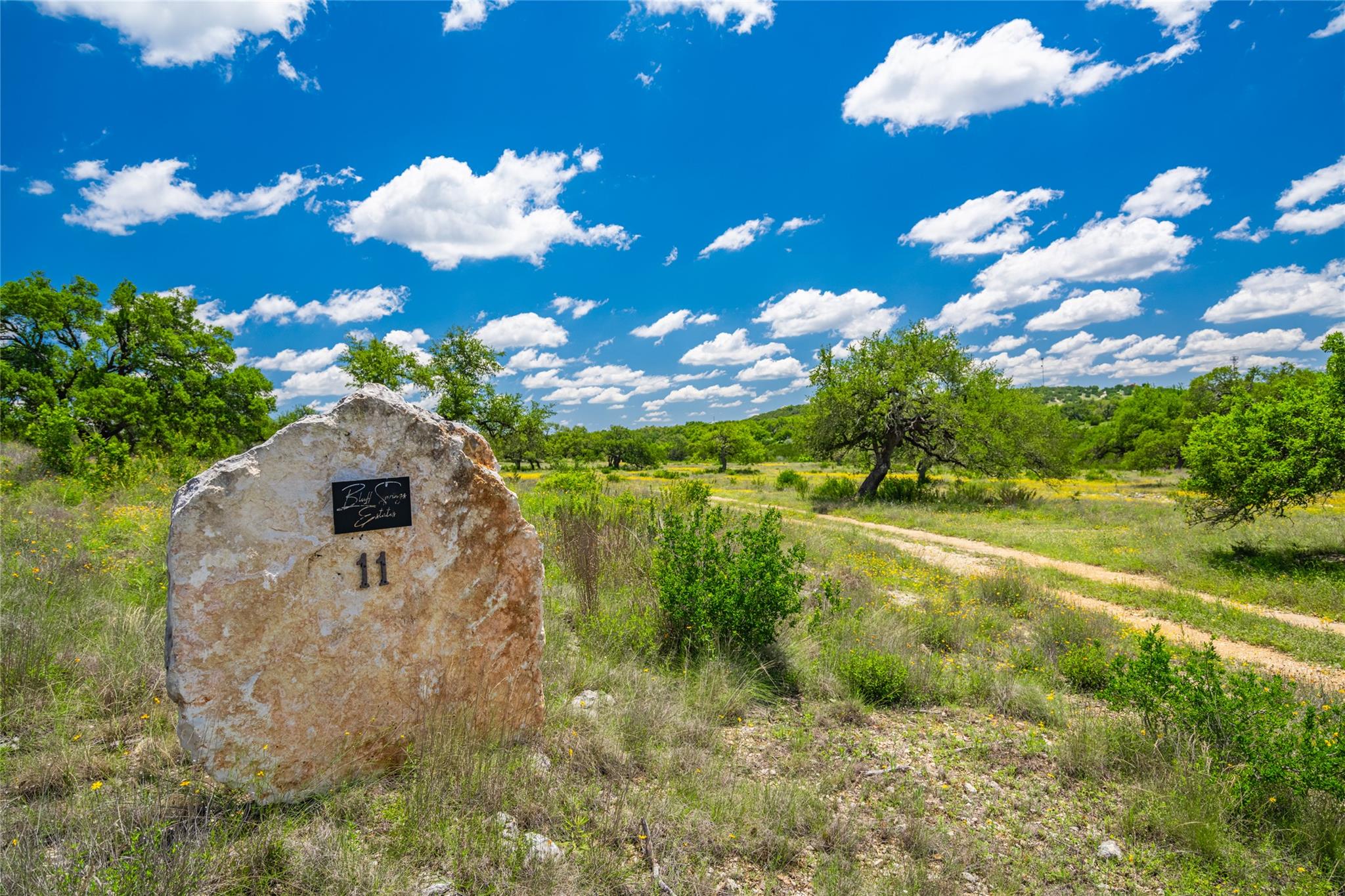 262 Cuesta PASS