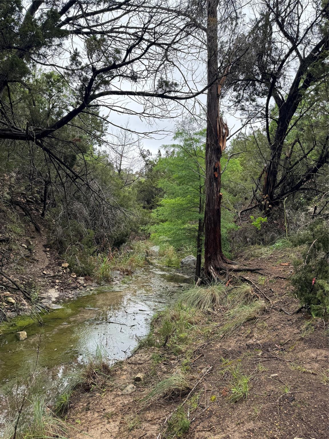 N/A Windy Hills RD — photo 3