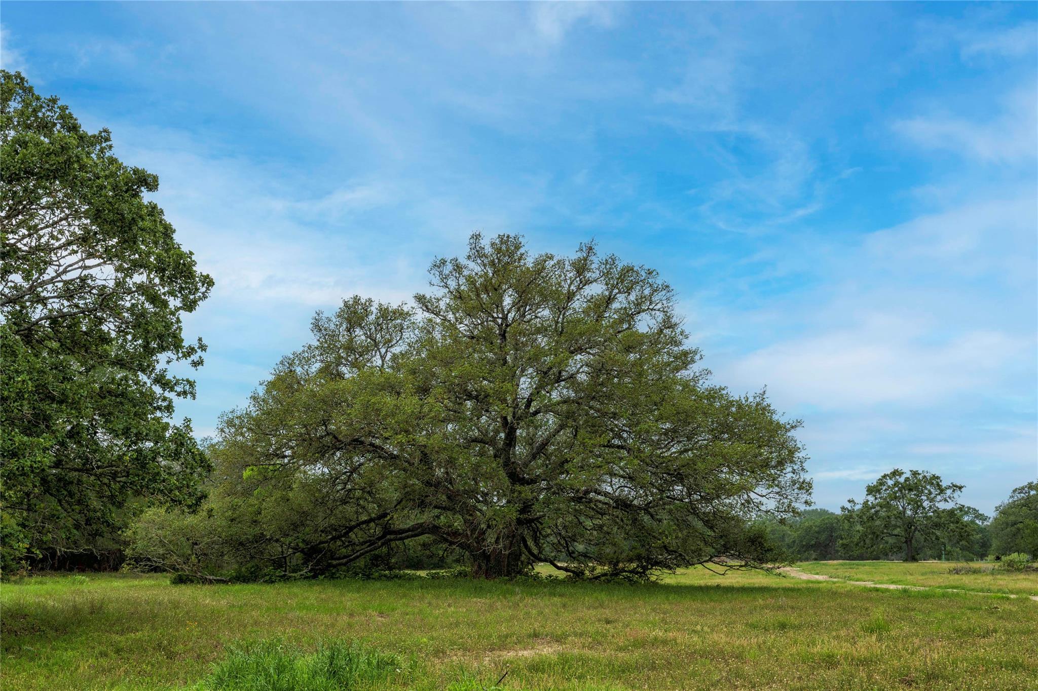 2570 Burke RD — photo 3