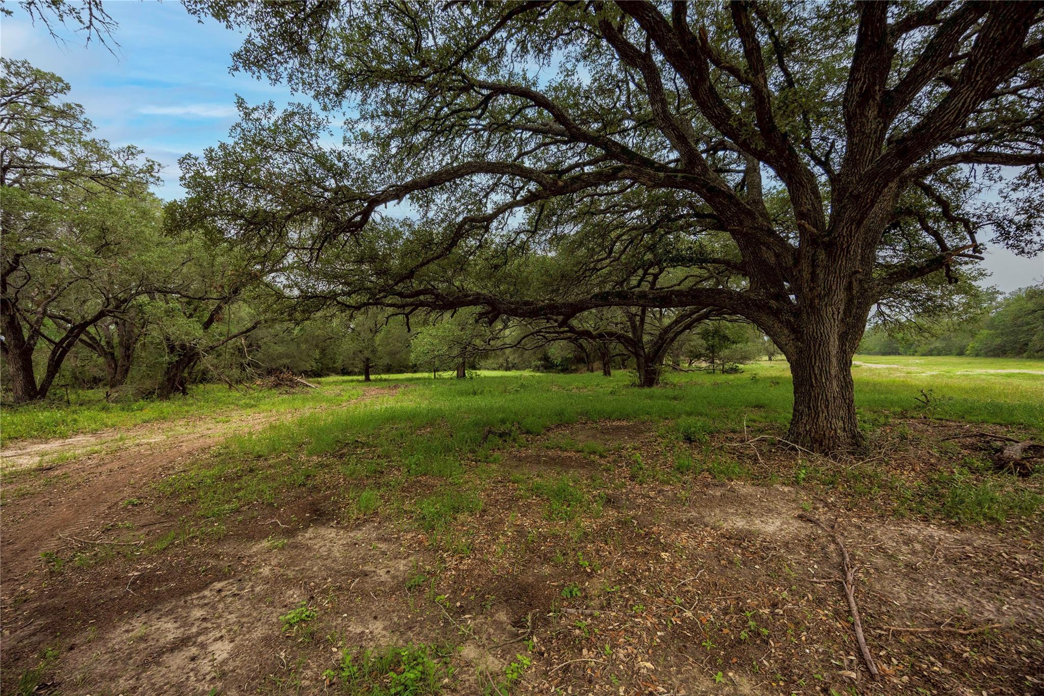 2570 Burke RD — photo 5