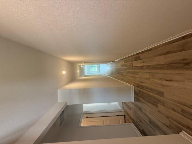 144 Woodbrook DR — photo 3
