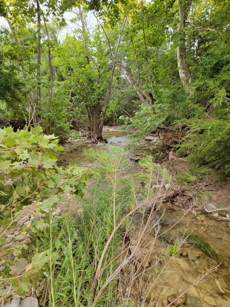 202 Falling Oak DR — photo 5