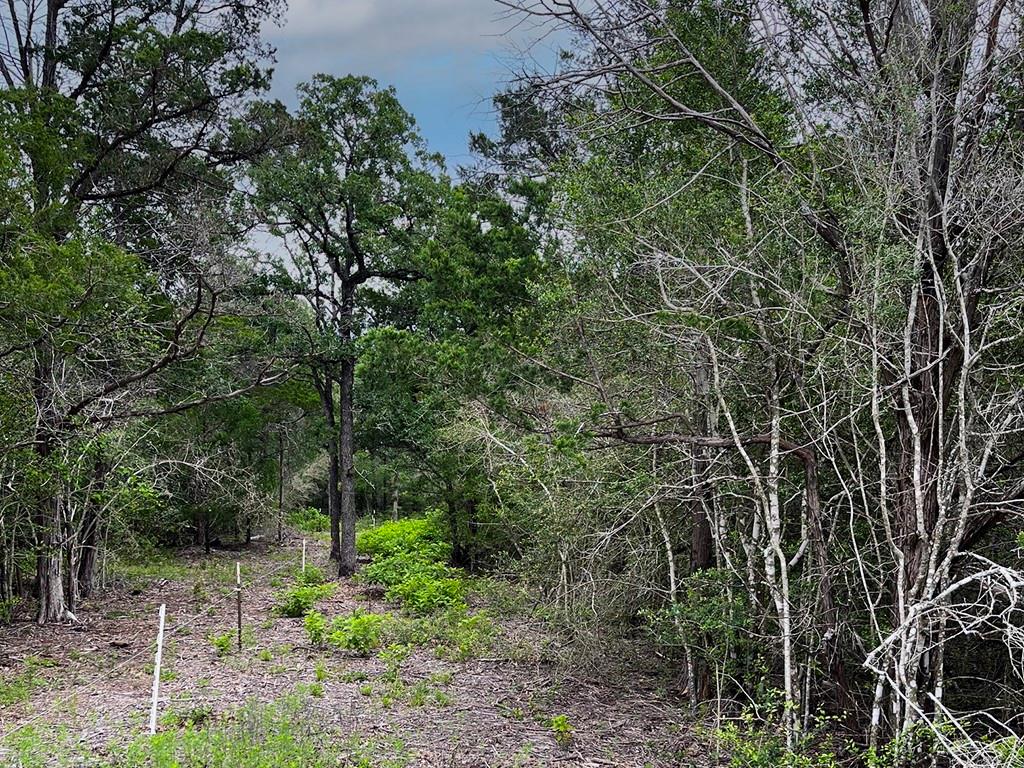 2231 Greens Creek RD — photo 3
