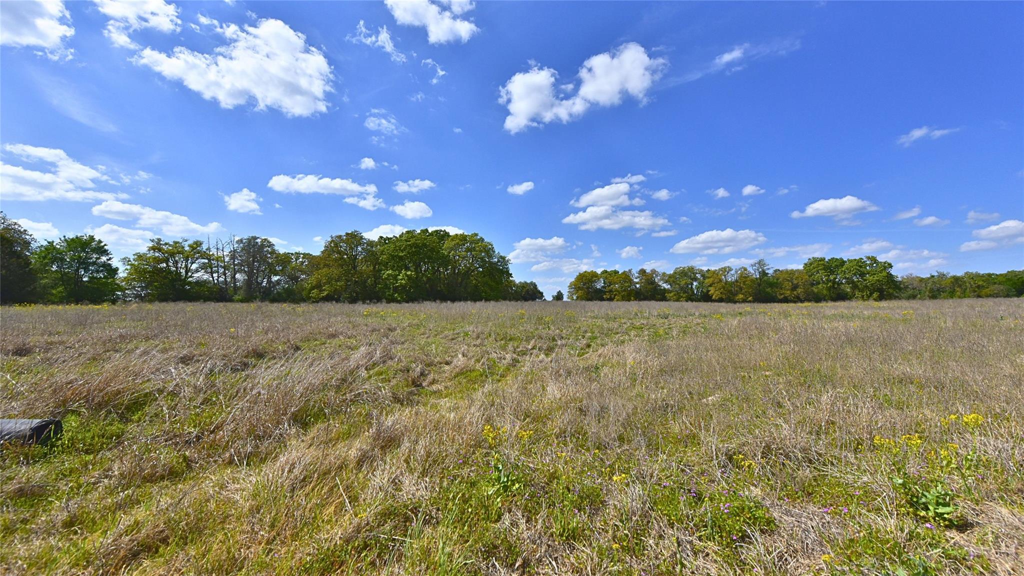 TBD Legacy Road (5 acres) — photo 3