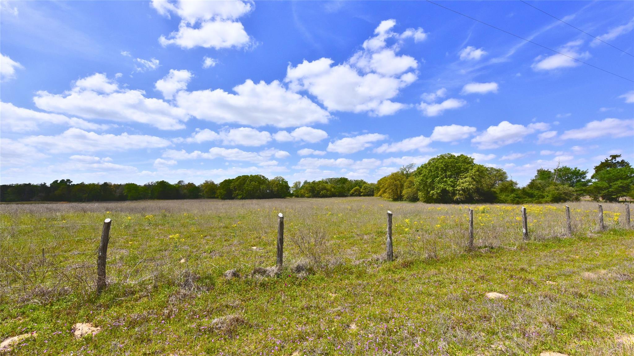TBD Legacy Road (5 acres) — photo 4