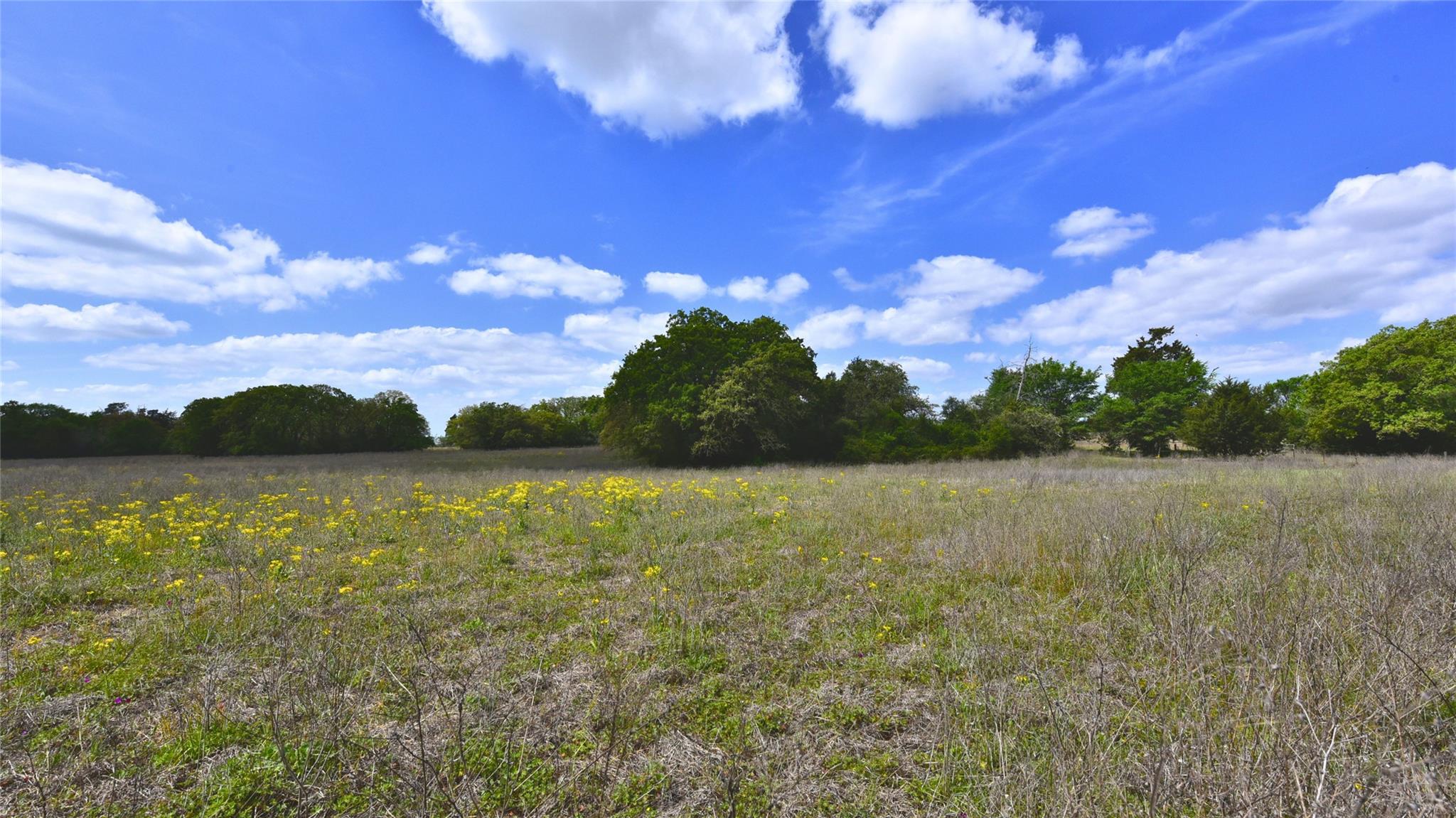 TBD Legacy Road (5 acres) — photo 5