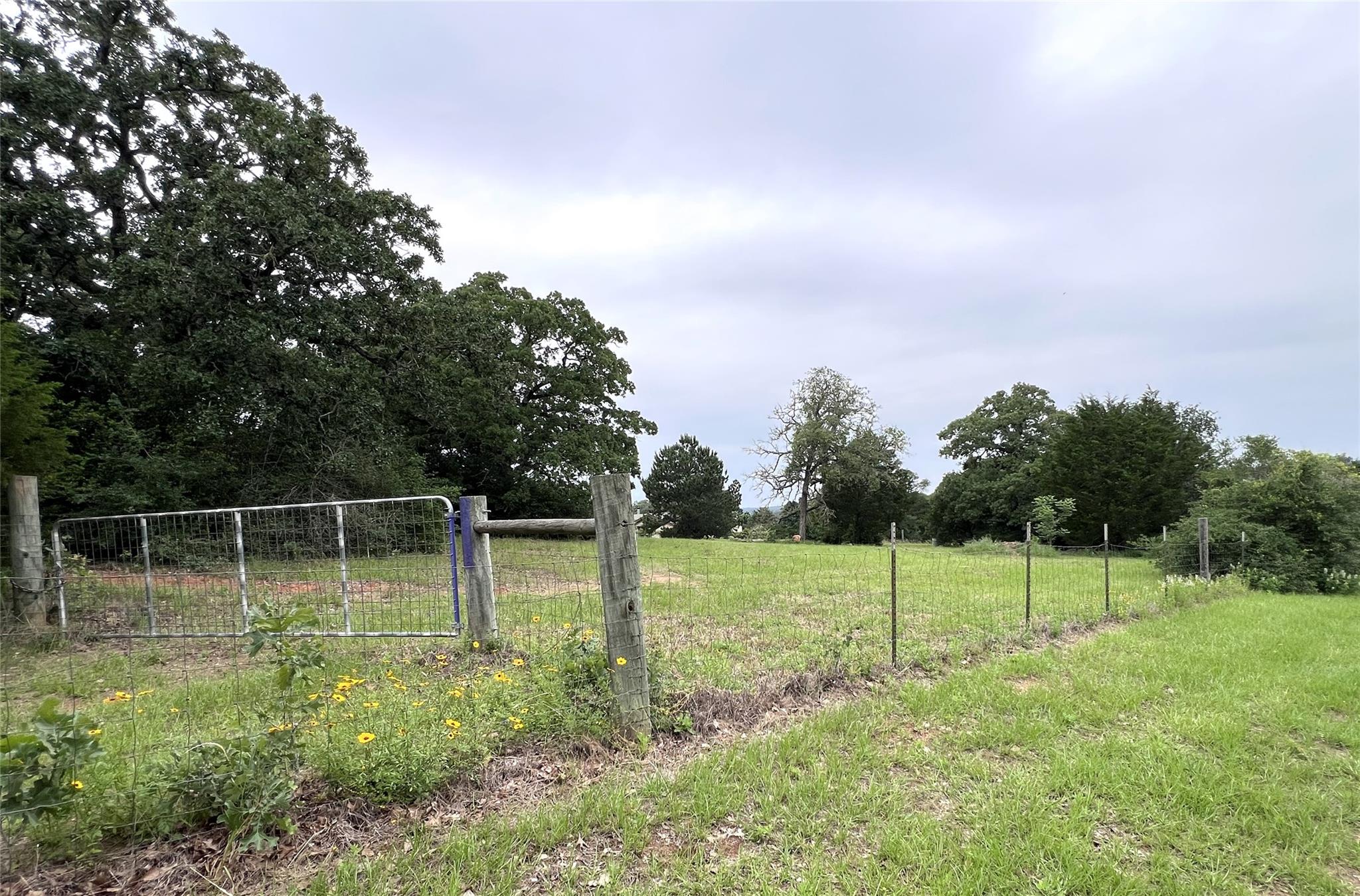 160 Rosanky Cattle Company RD — photo 3