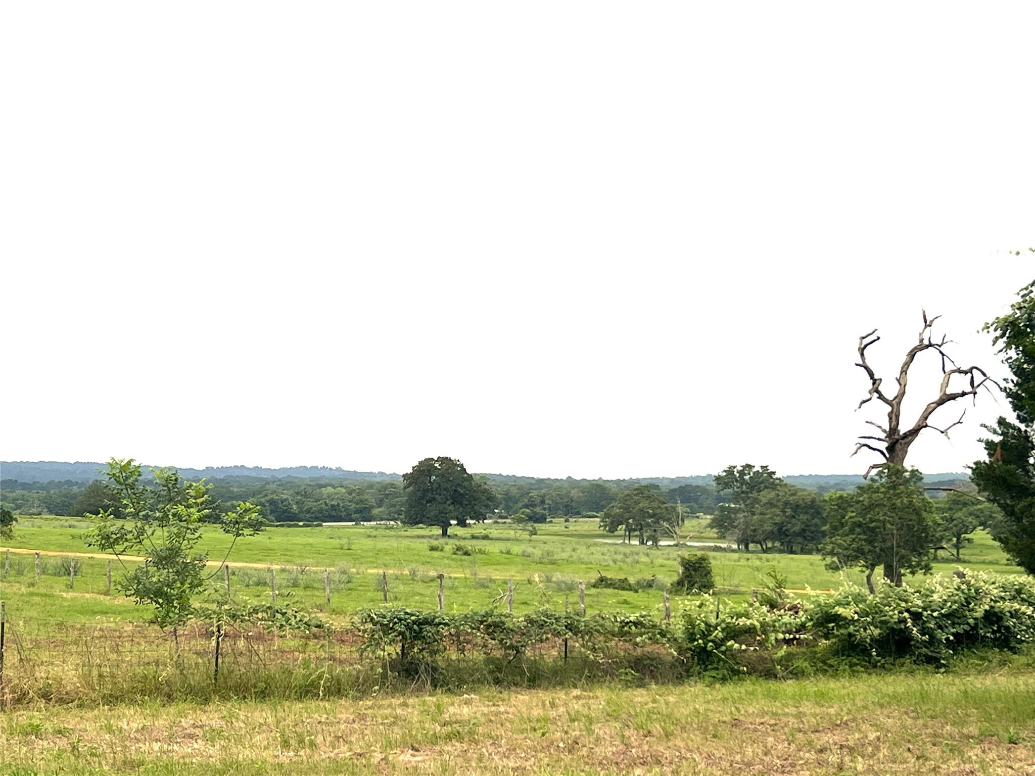 160 Rosanky Cattle Company RD