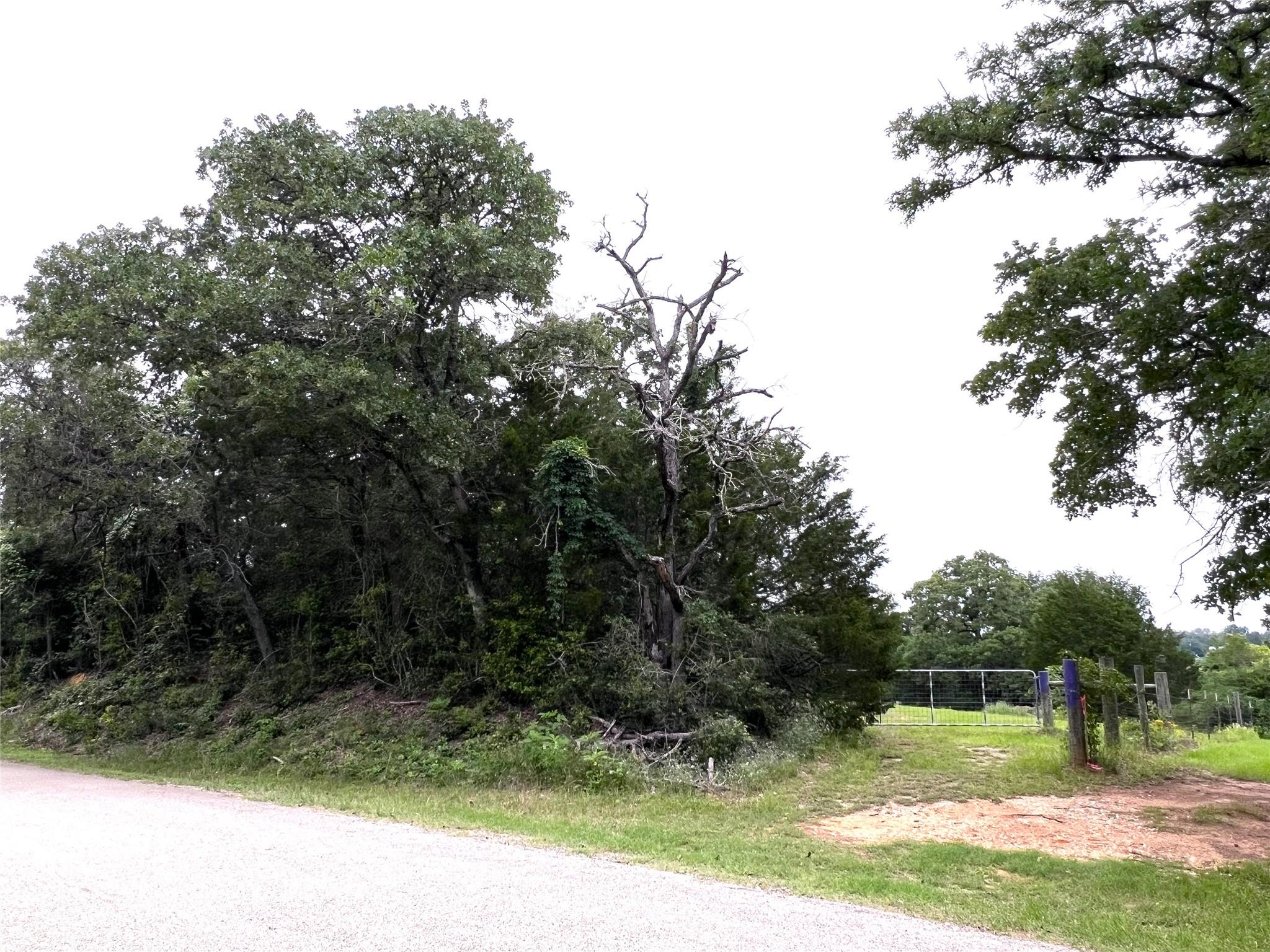 160 Rosanky Cattle Company RD — photo 4
