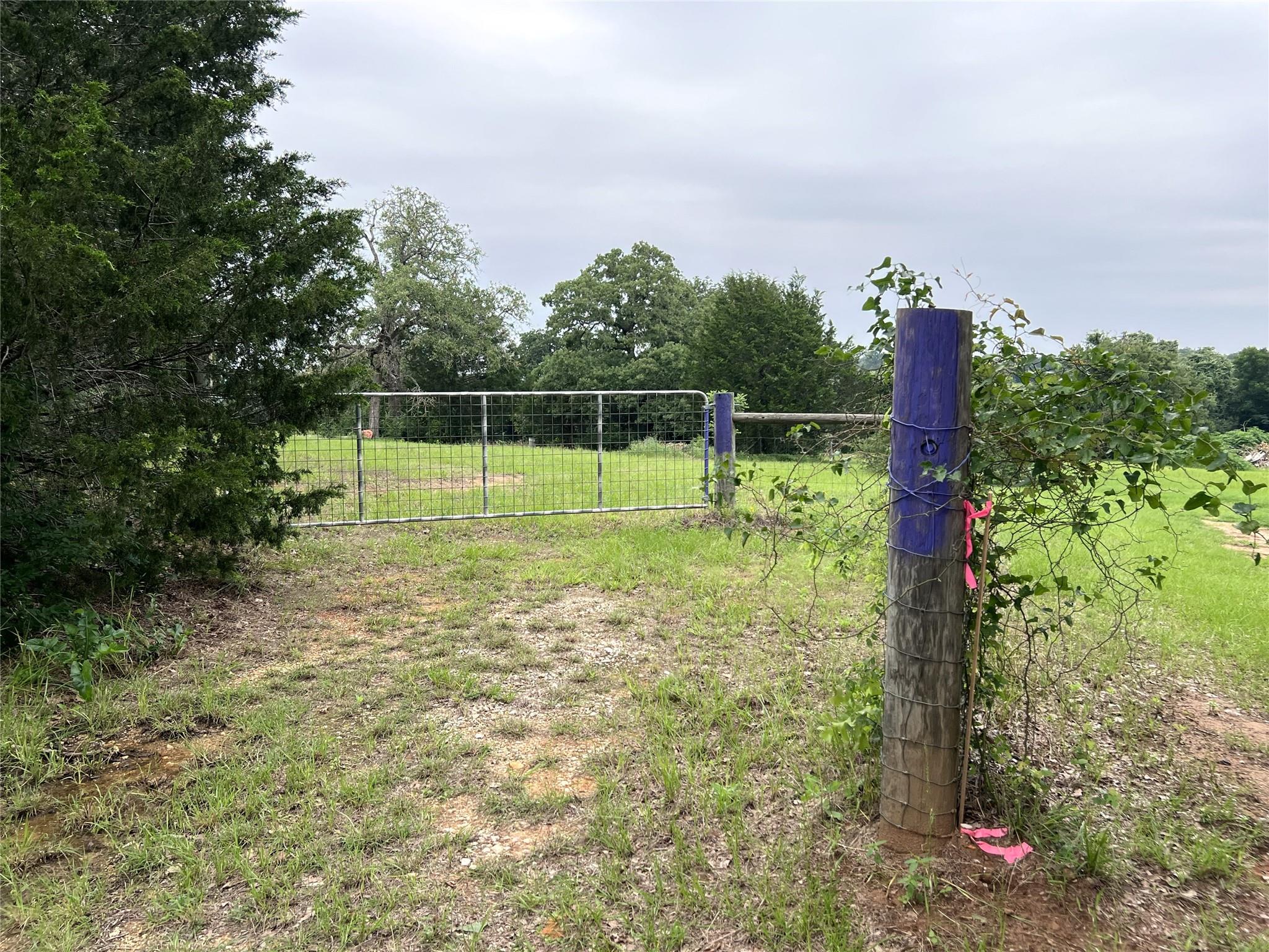 160 Rosanky Cattle Company RD — photo 5