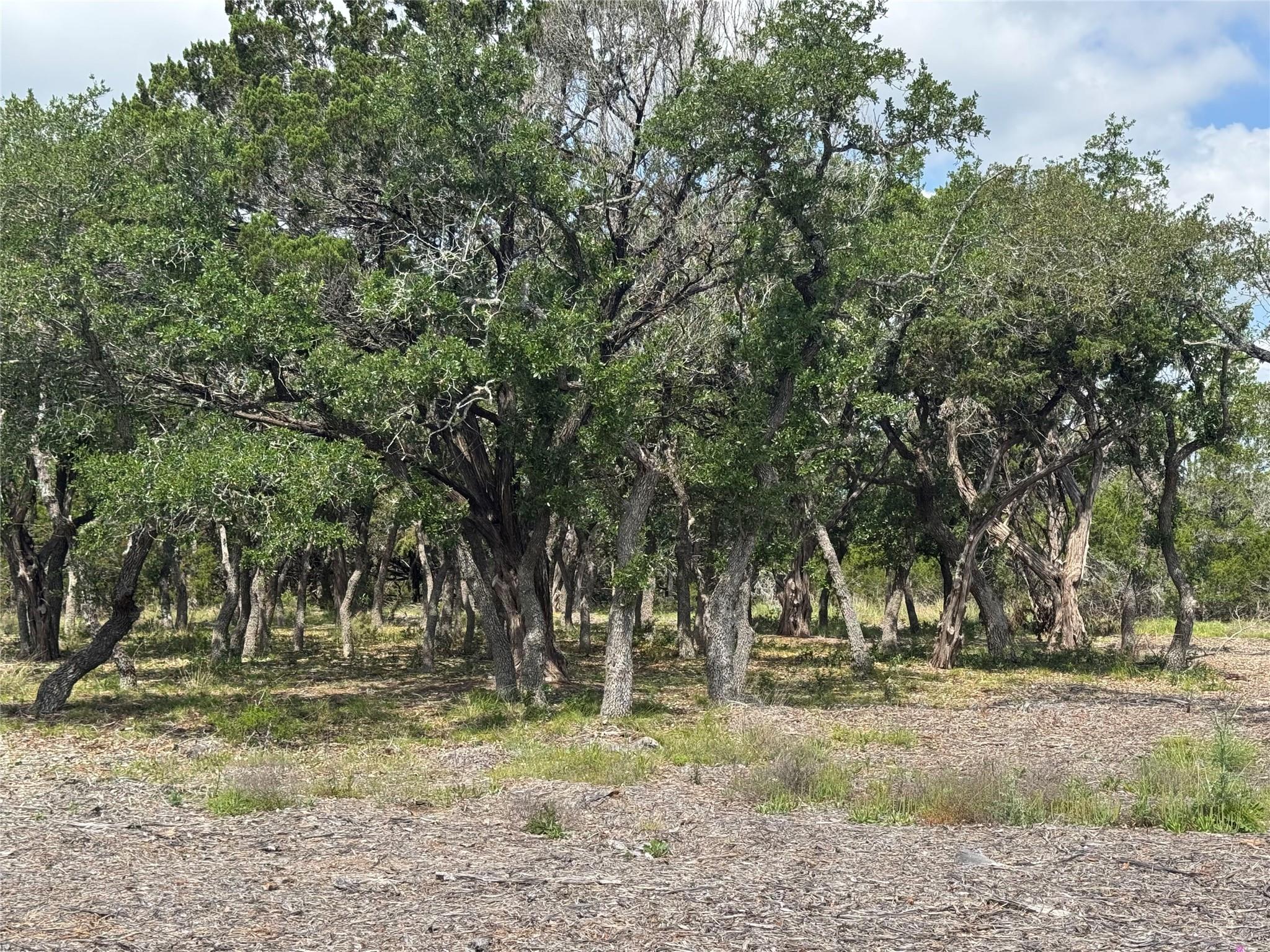 Lot 37 Riparian Elm RD — photo 3