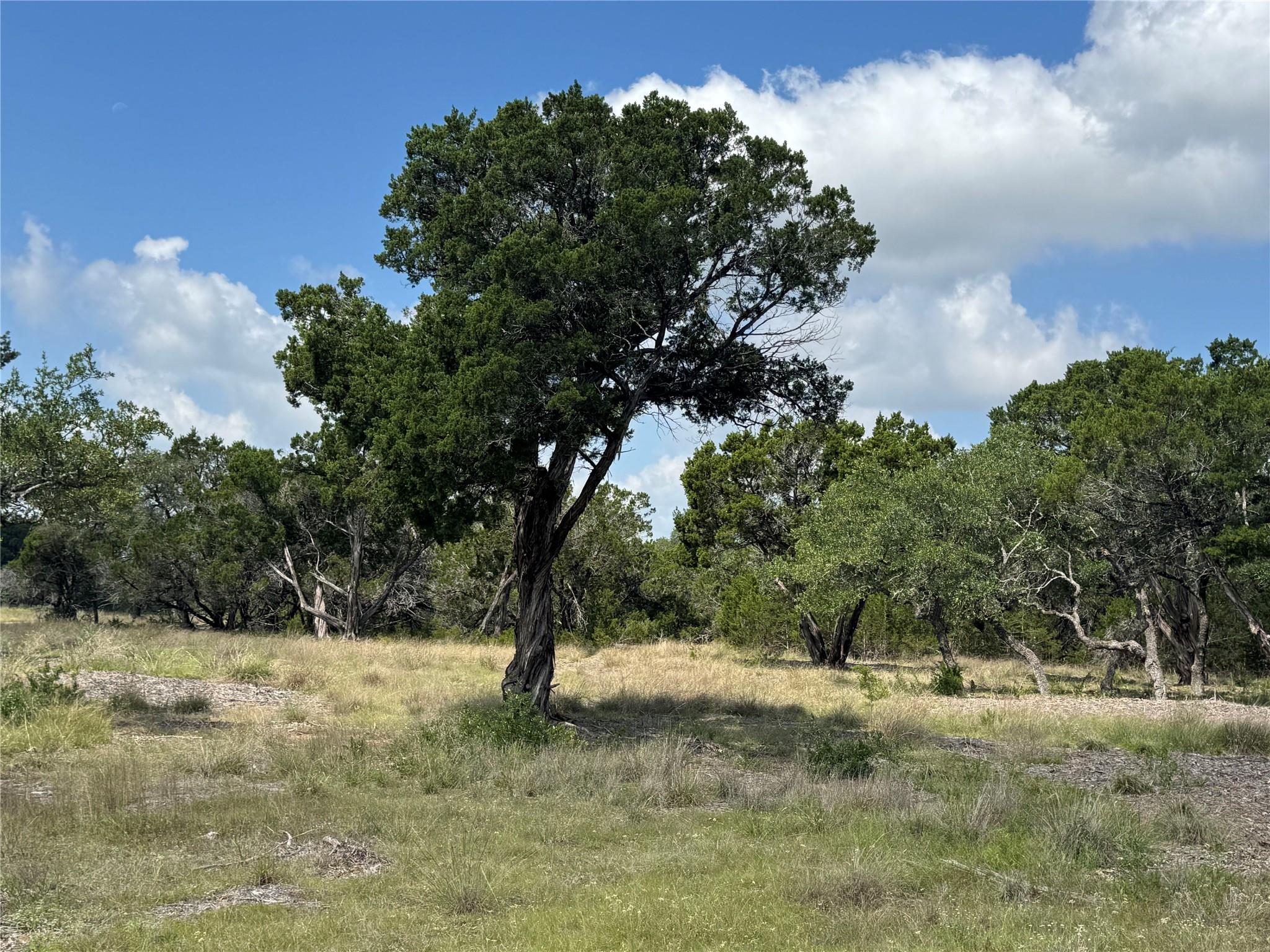 Lot 37 Riparian Elm RD — photo 4