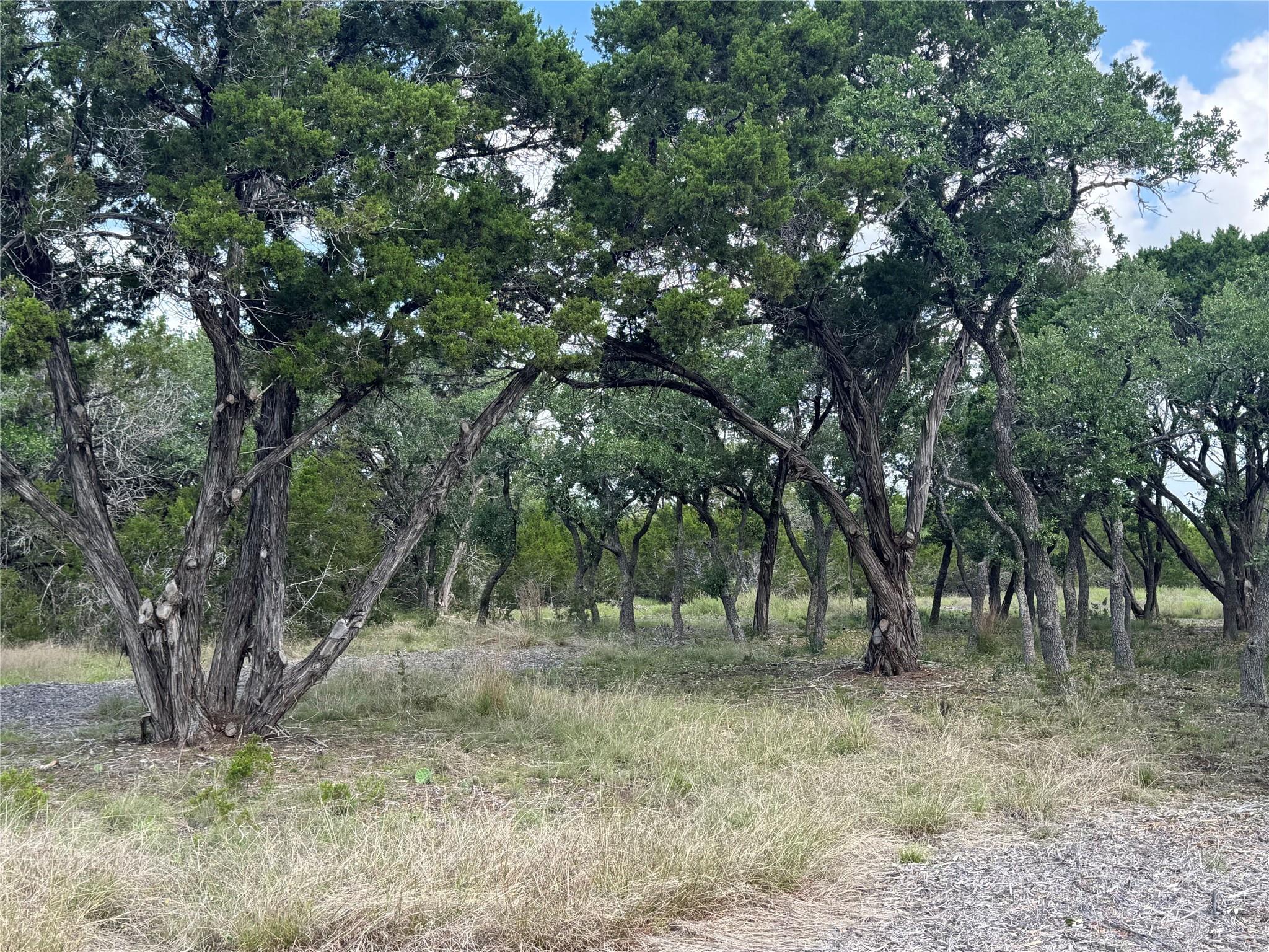 Lot 37 Riparian Elm RD — photo 5