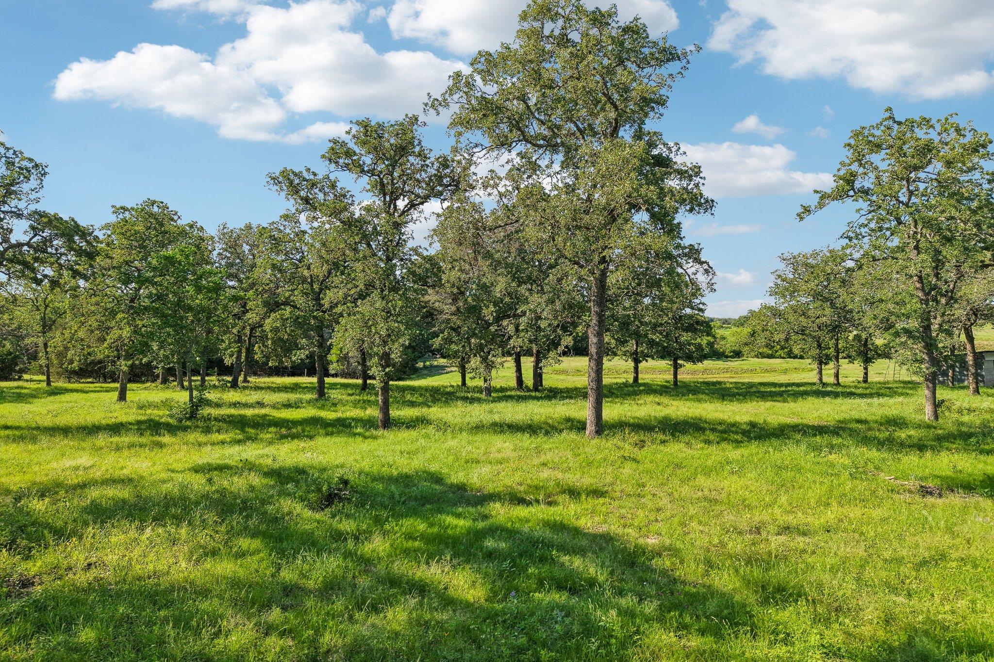 6 Acres County Road 211